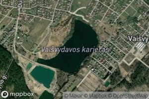 Vaisvydavos Karjeras