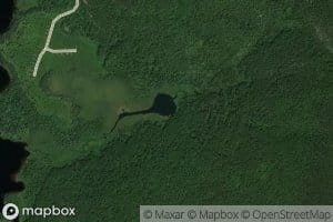 Lac Cuticule