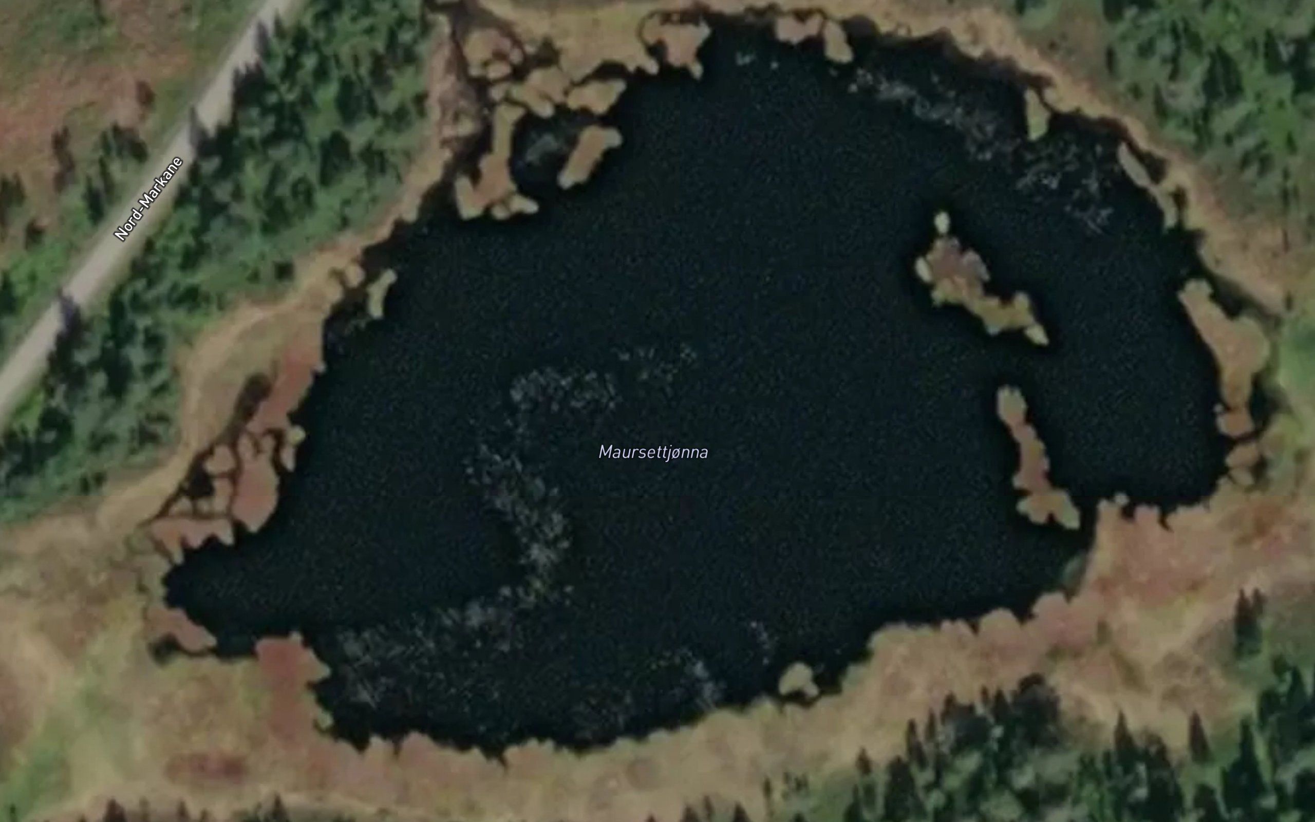 Maursettjorna