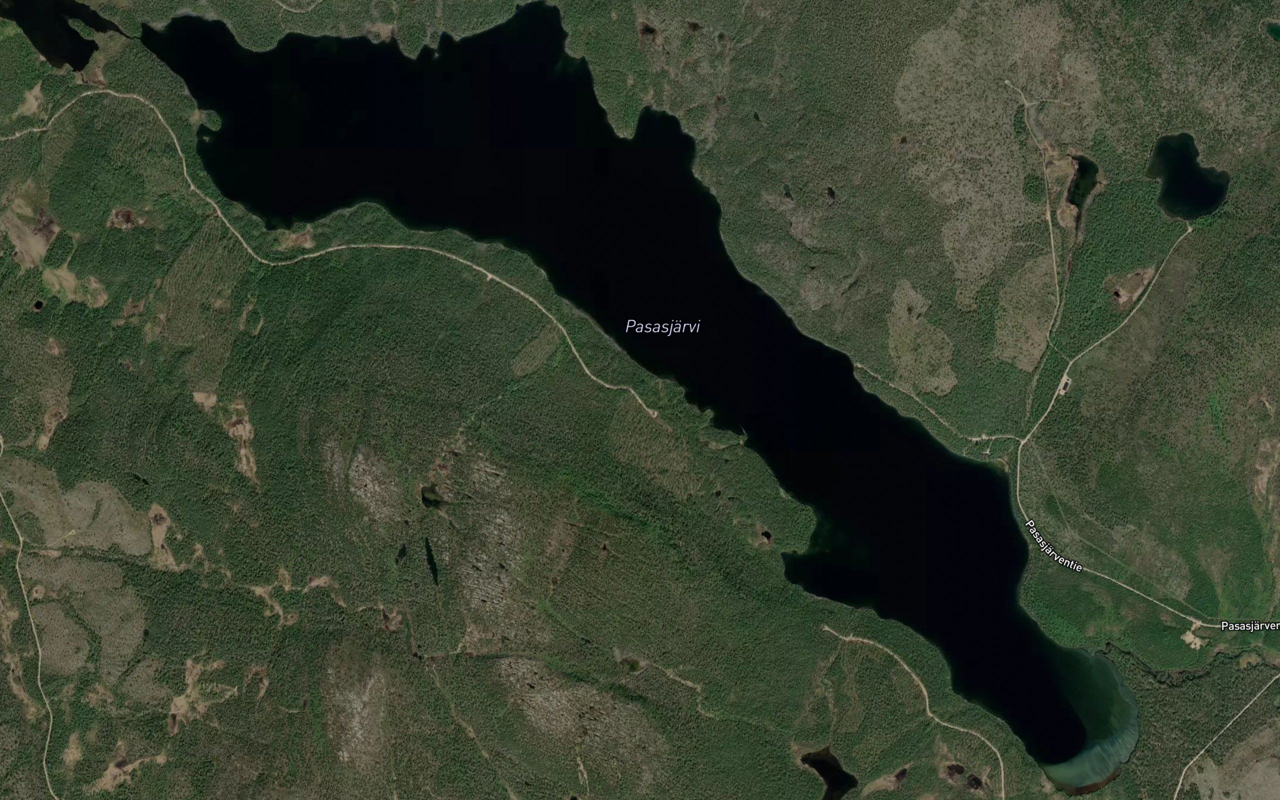 Palolahti