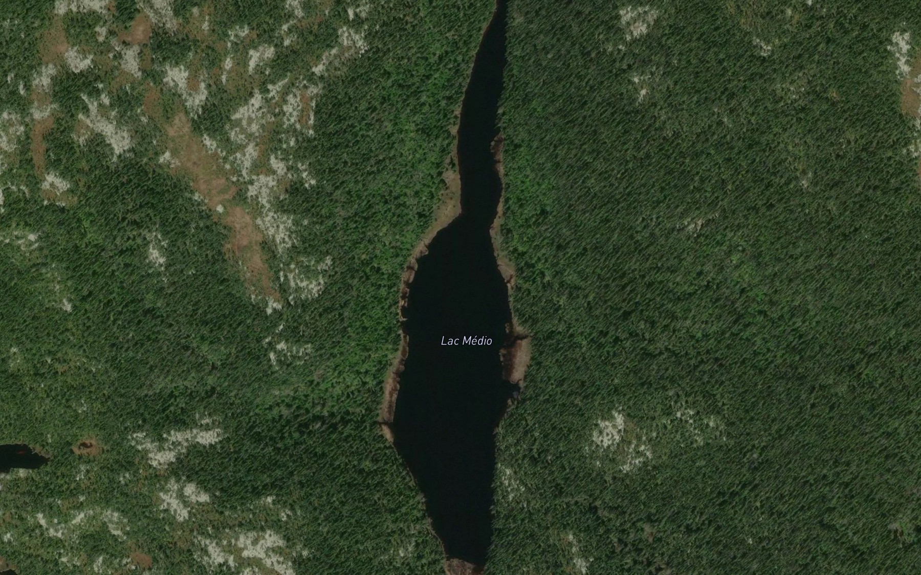 Satellite map of the Lac Medio