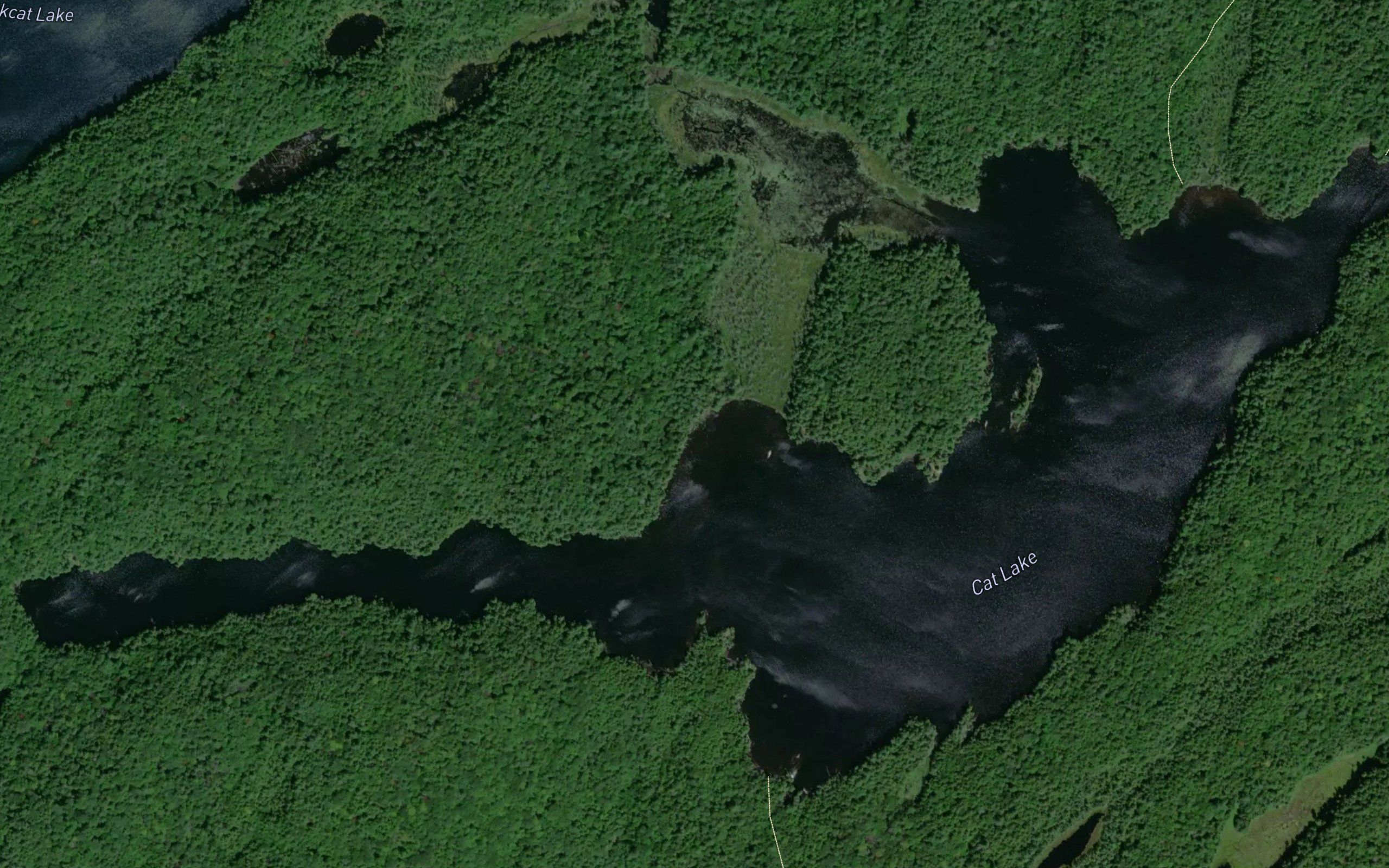 Cat Lake
