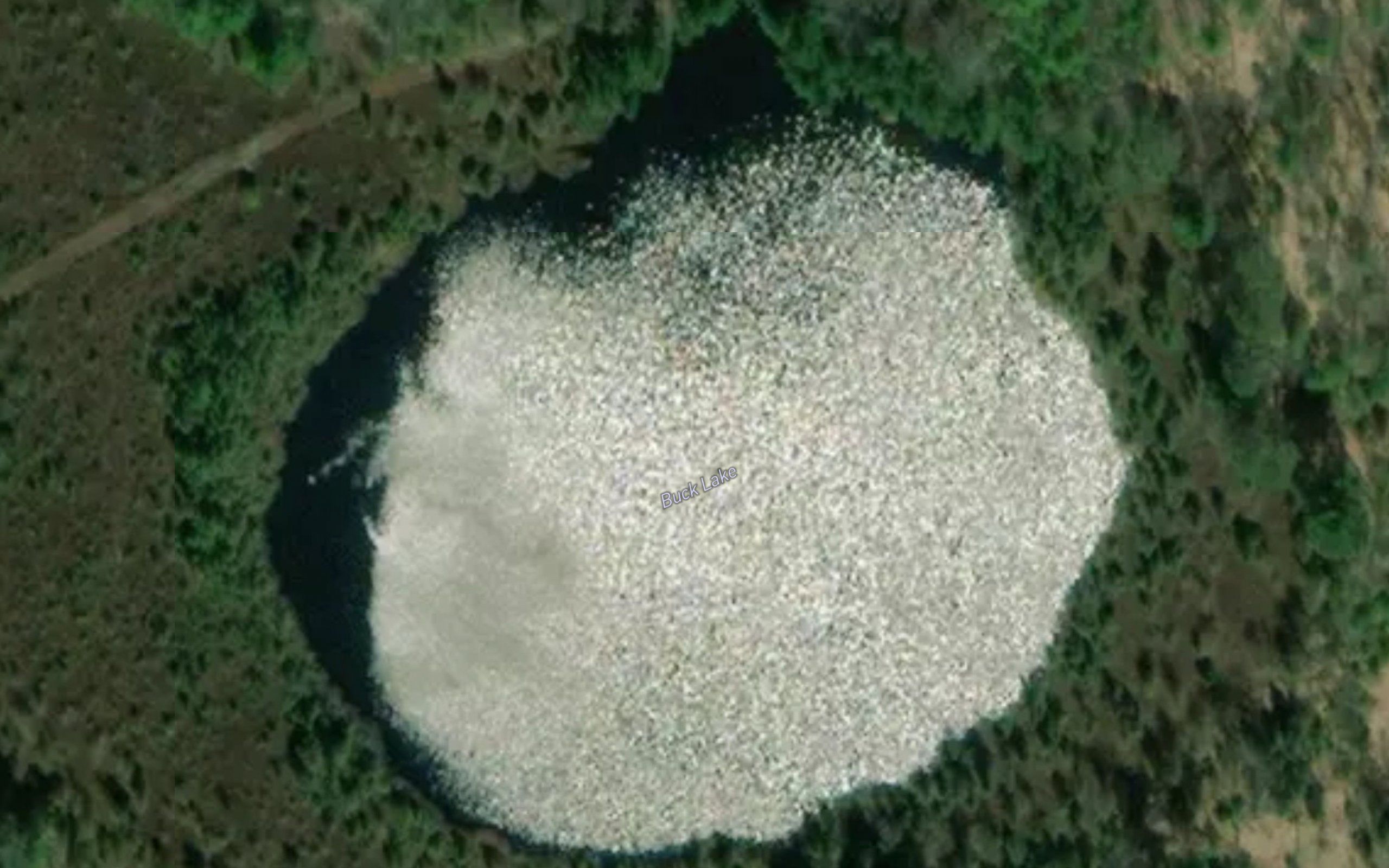 Buck Lake