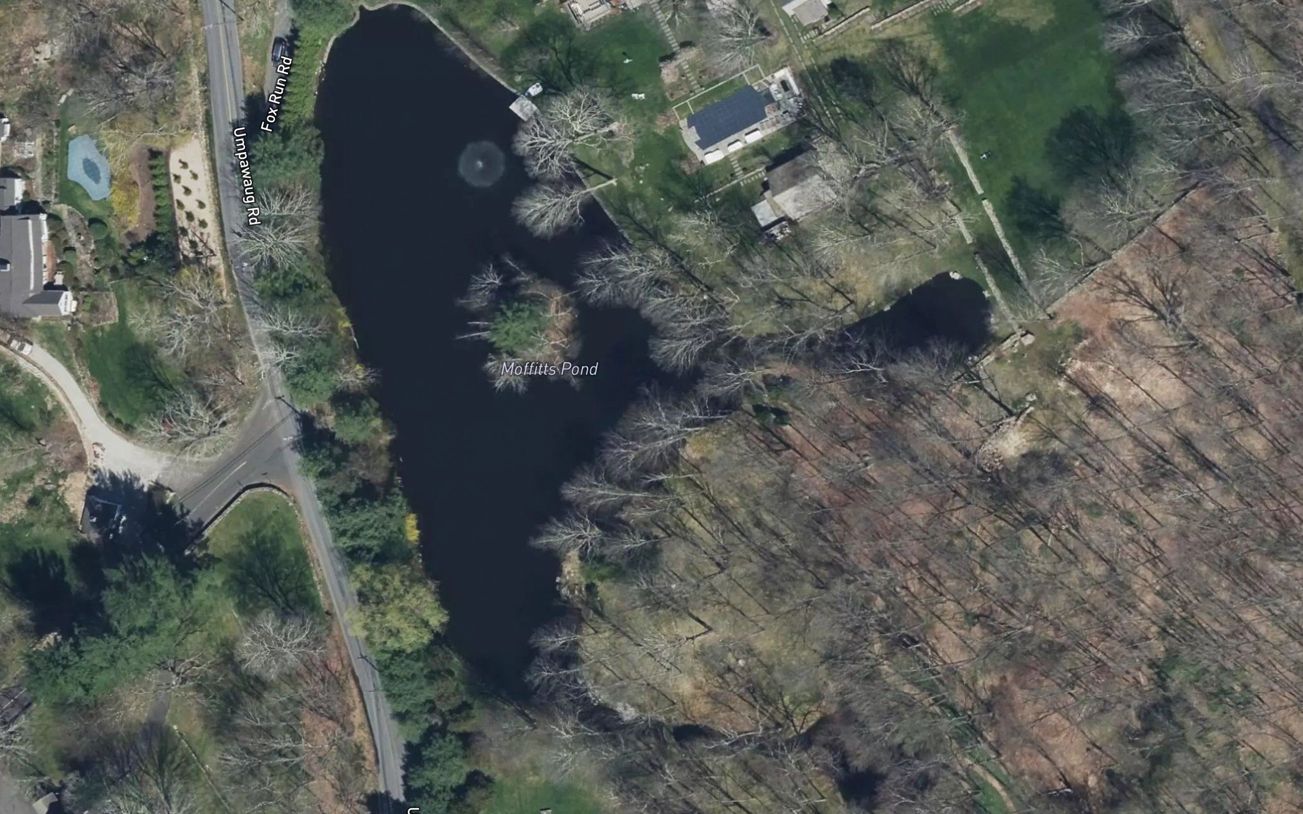 Moffitts Pond