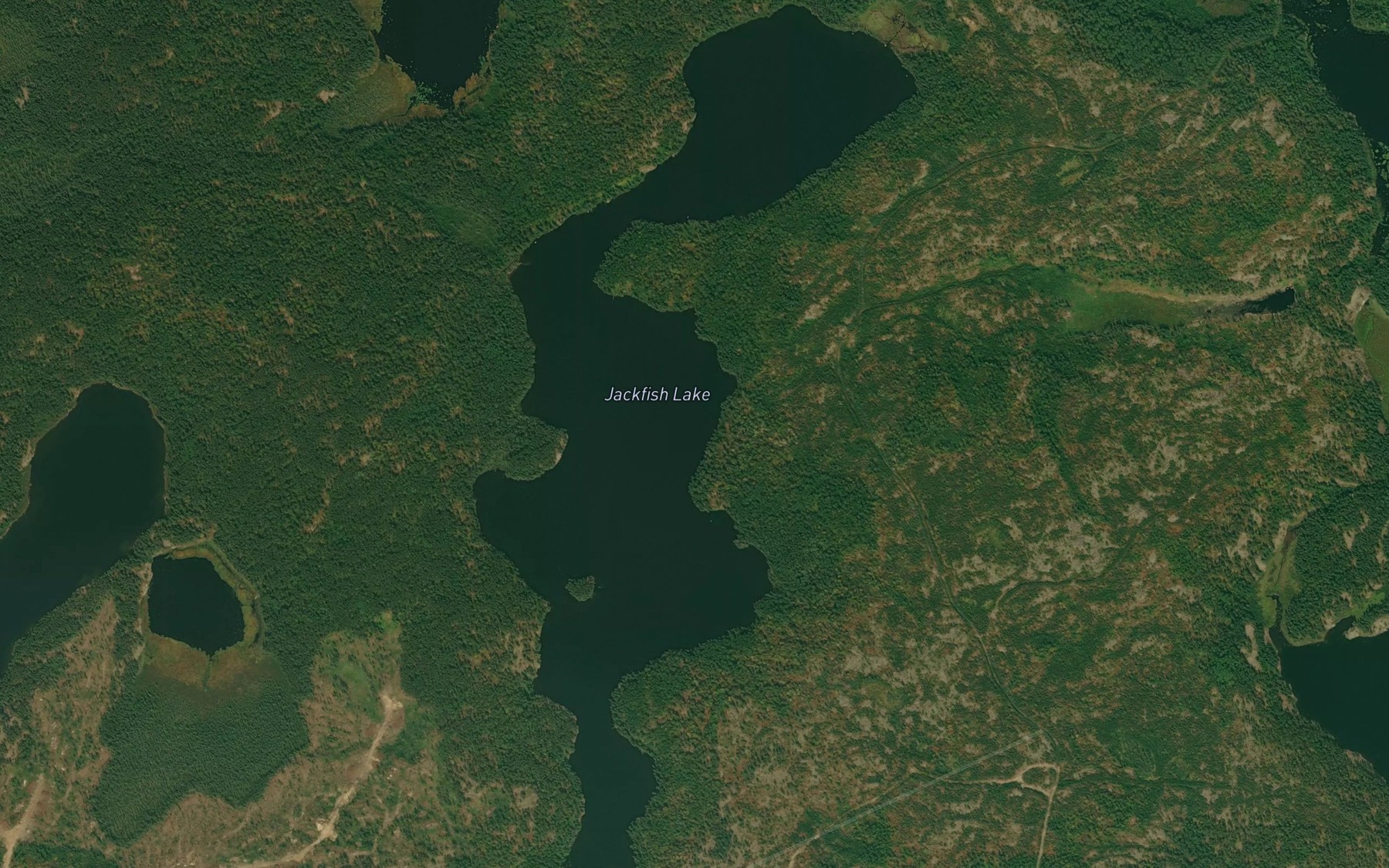Satellite map of the Jackfish Lake