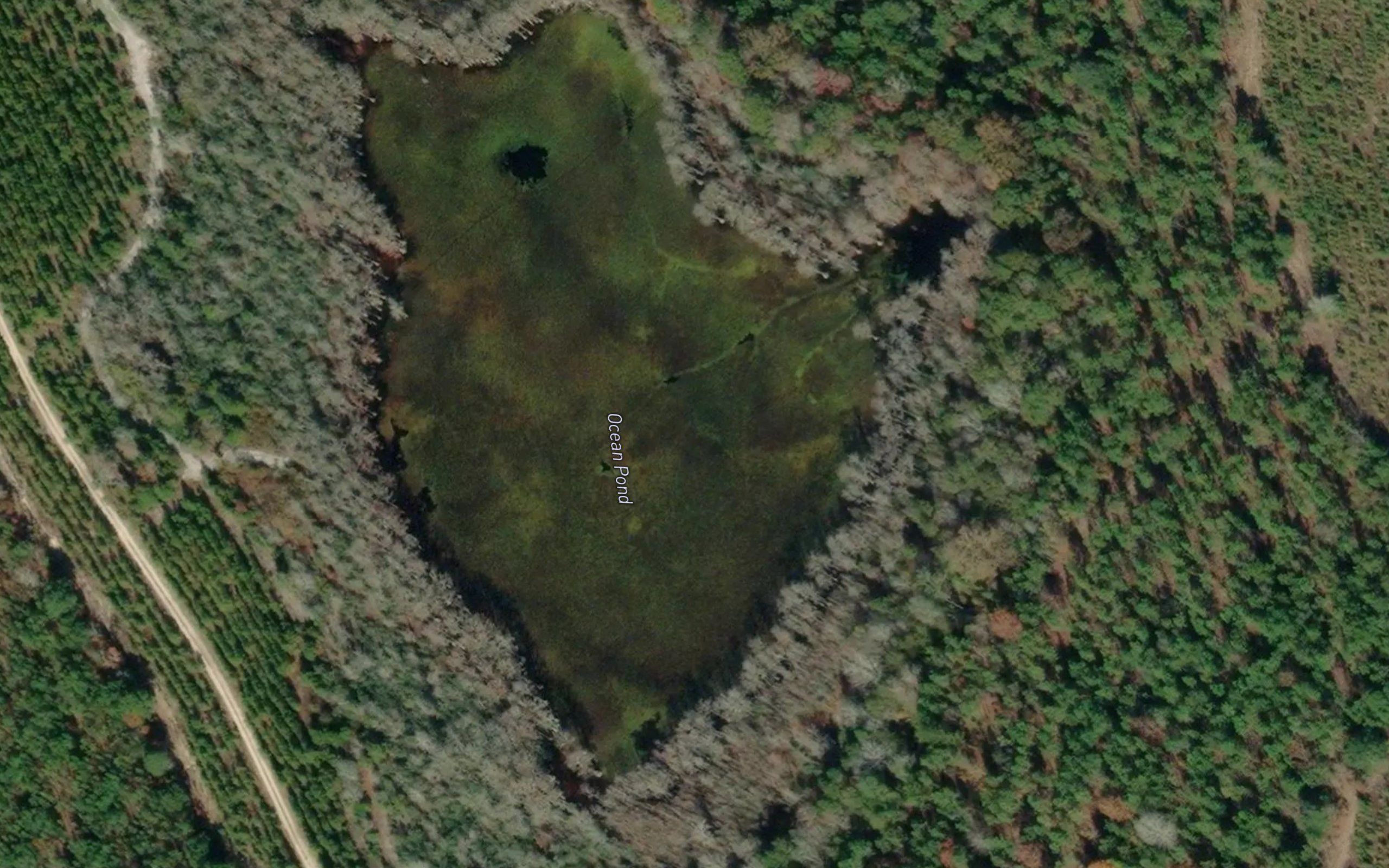 Ocean Pond