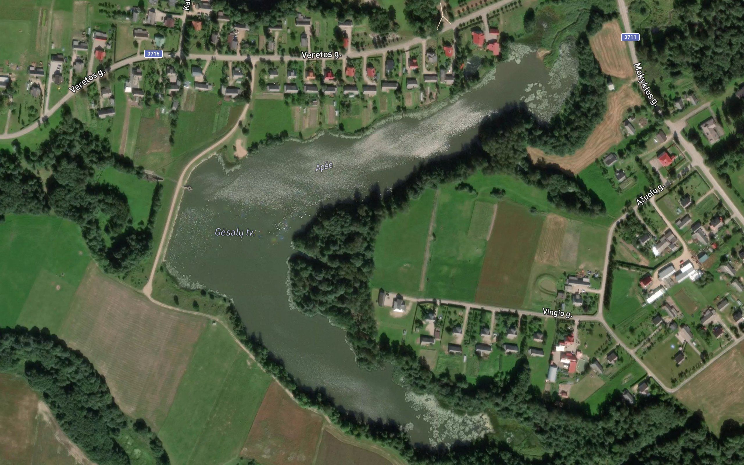 Gesalu Tvenkinys
