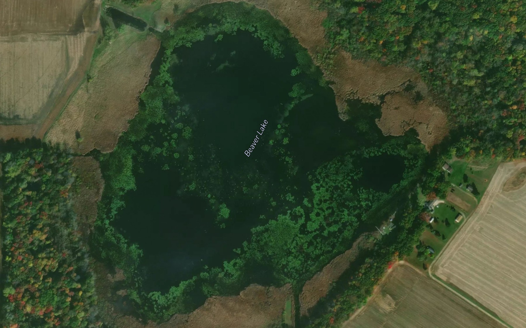 Satellite map of the Beaver Lake