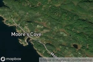 Moore's Cove