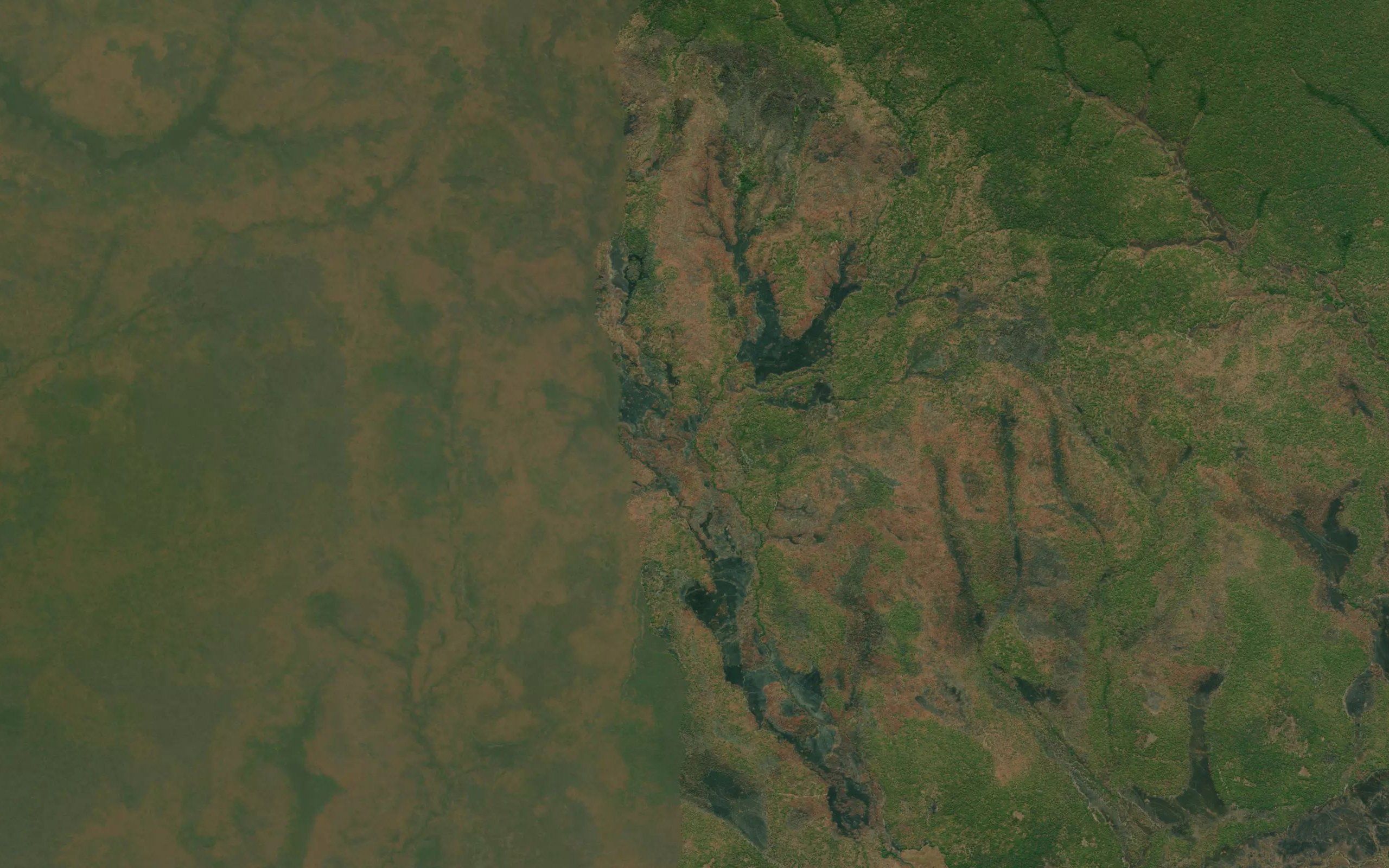 Cavinguli