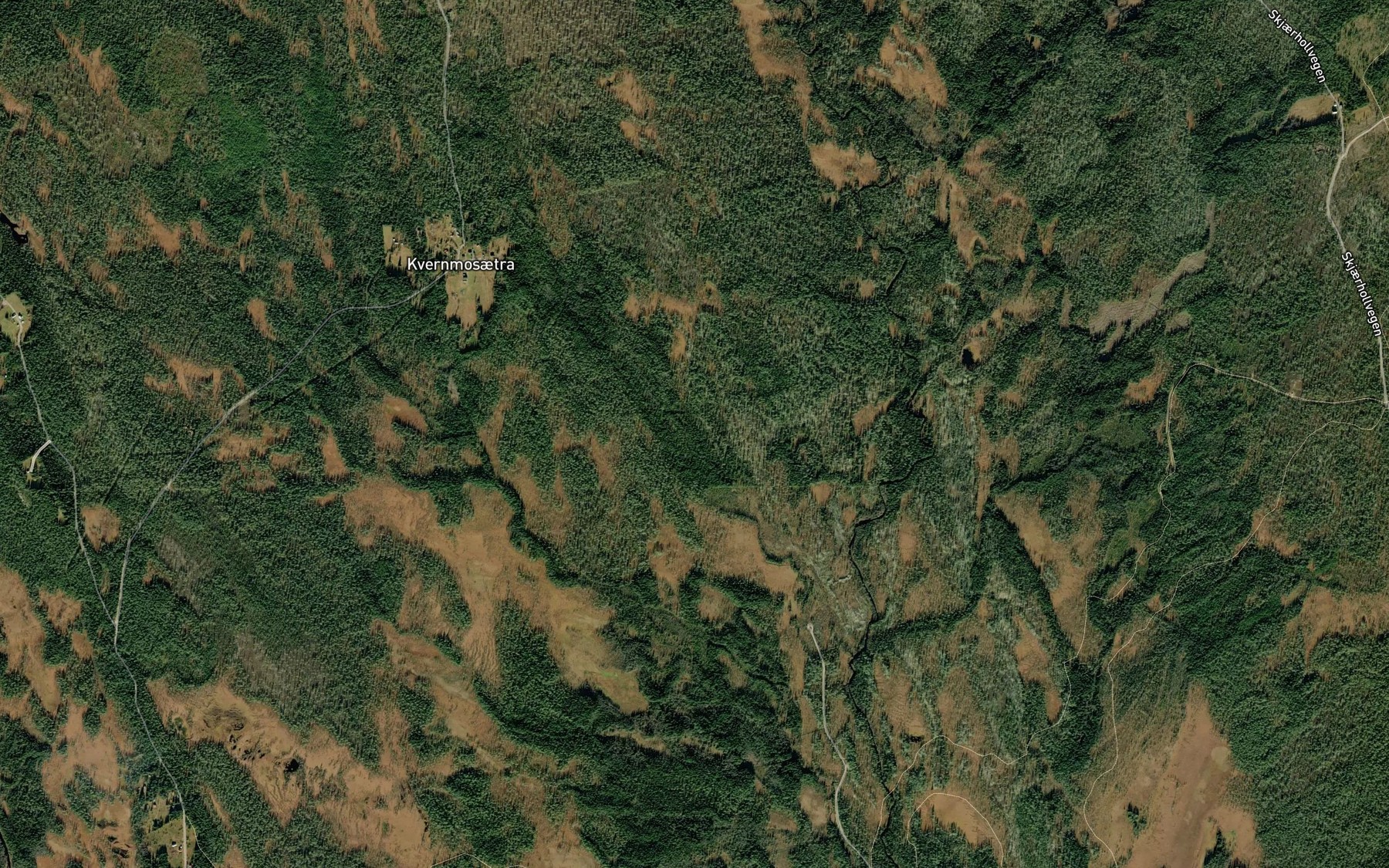 Satellite map of the Turtbekken