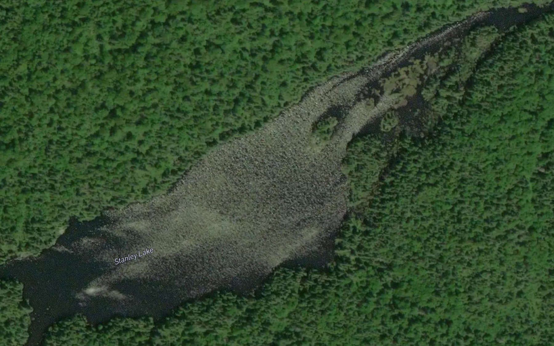 Satellite map of the Stanley Lake