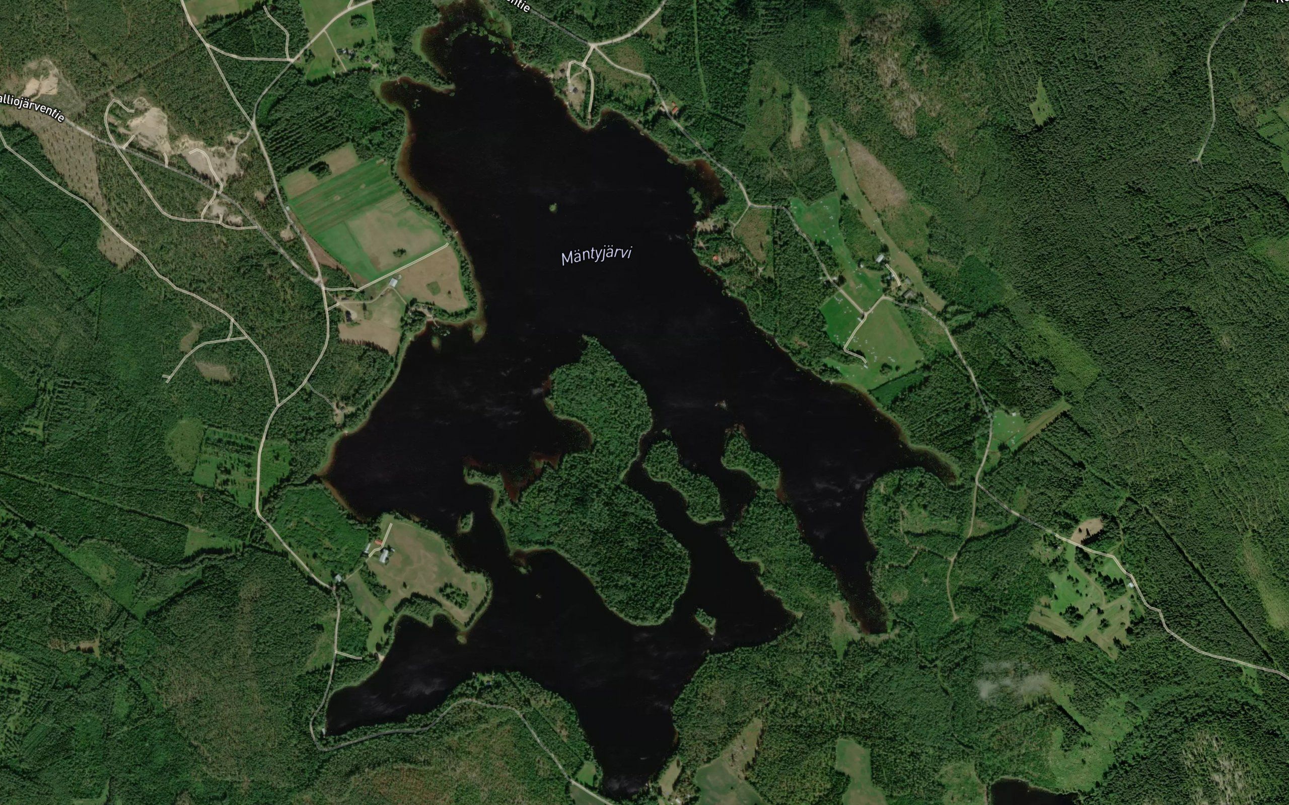 Mantyjarvi