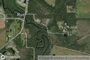 Rye Branch