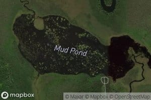 Mud Pond