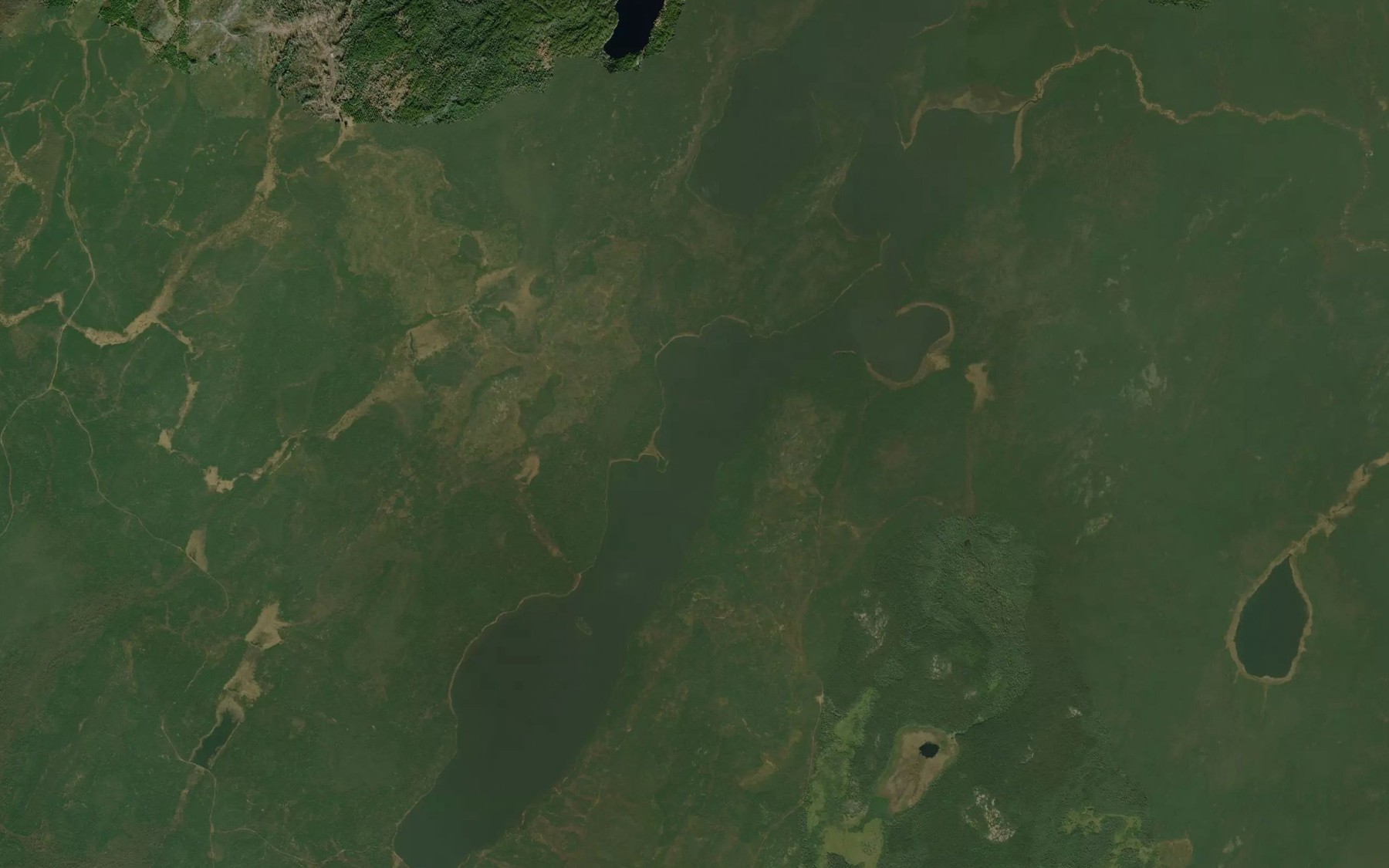Satellite map of the Walsh Lake