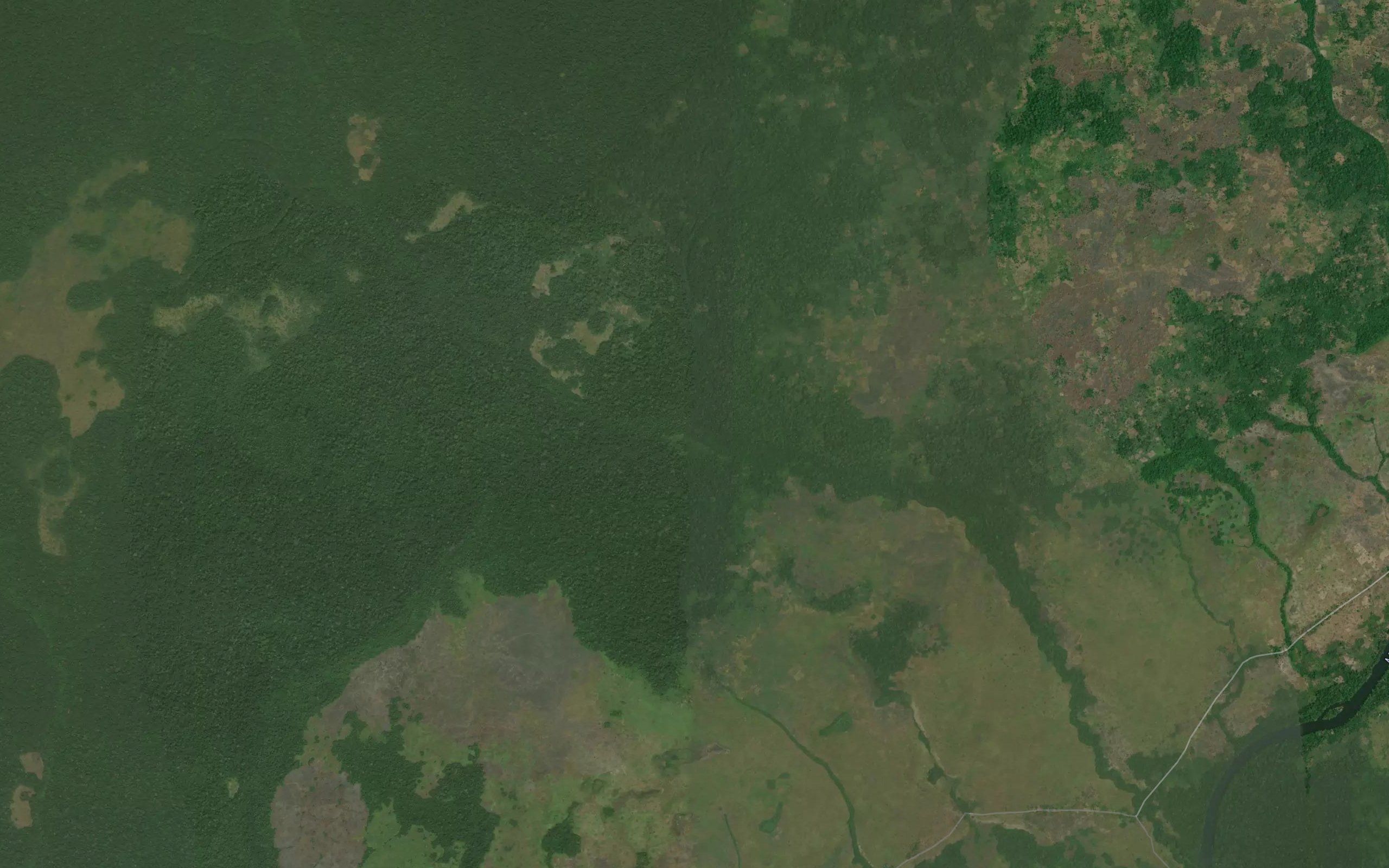 Ngonda