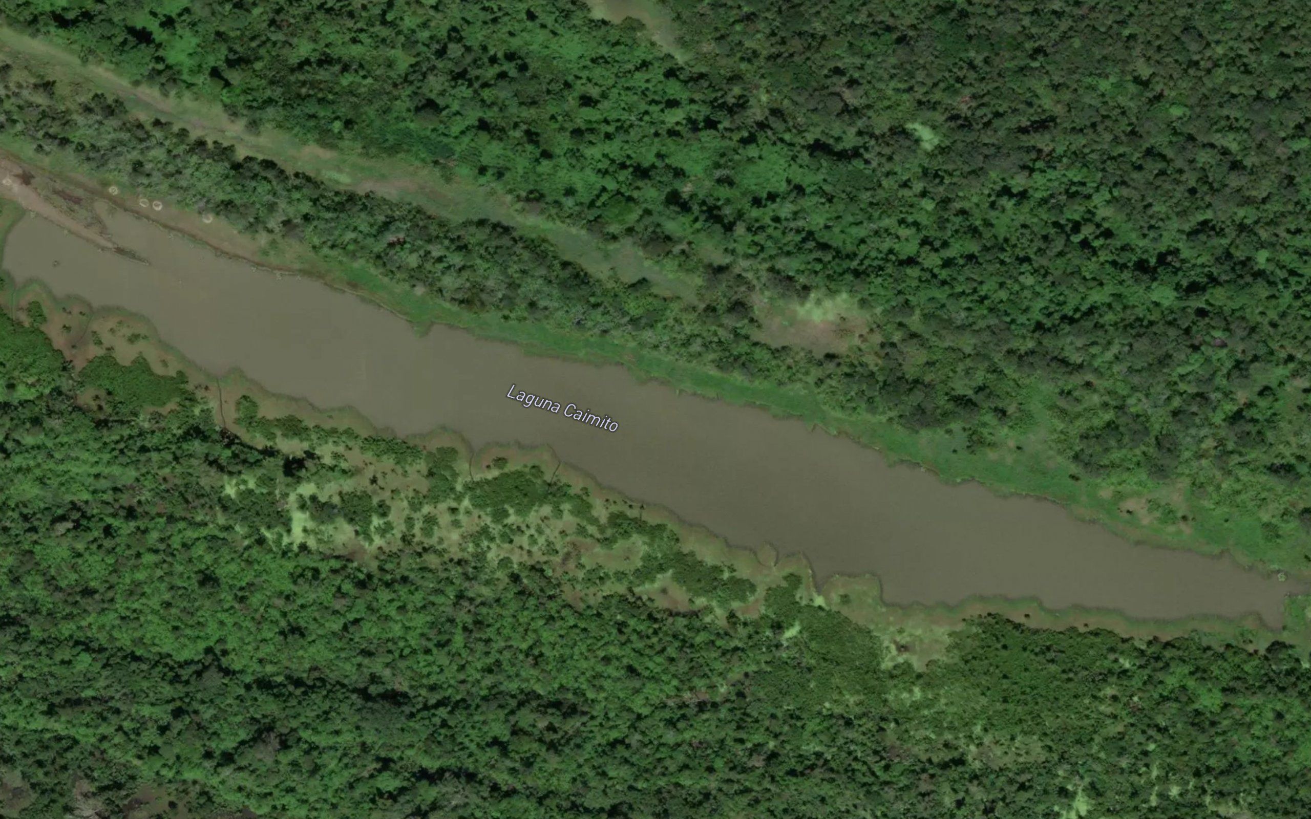 Laguna Caimito