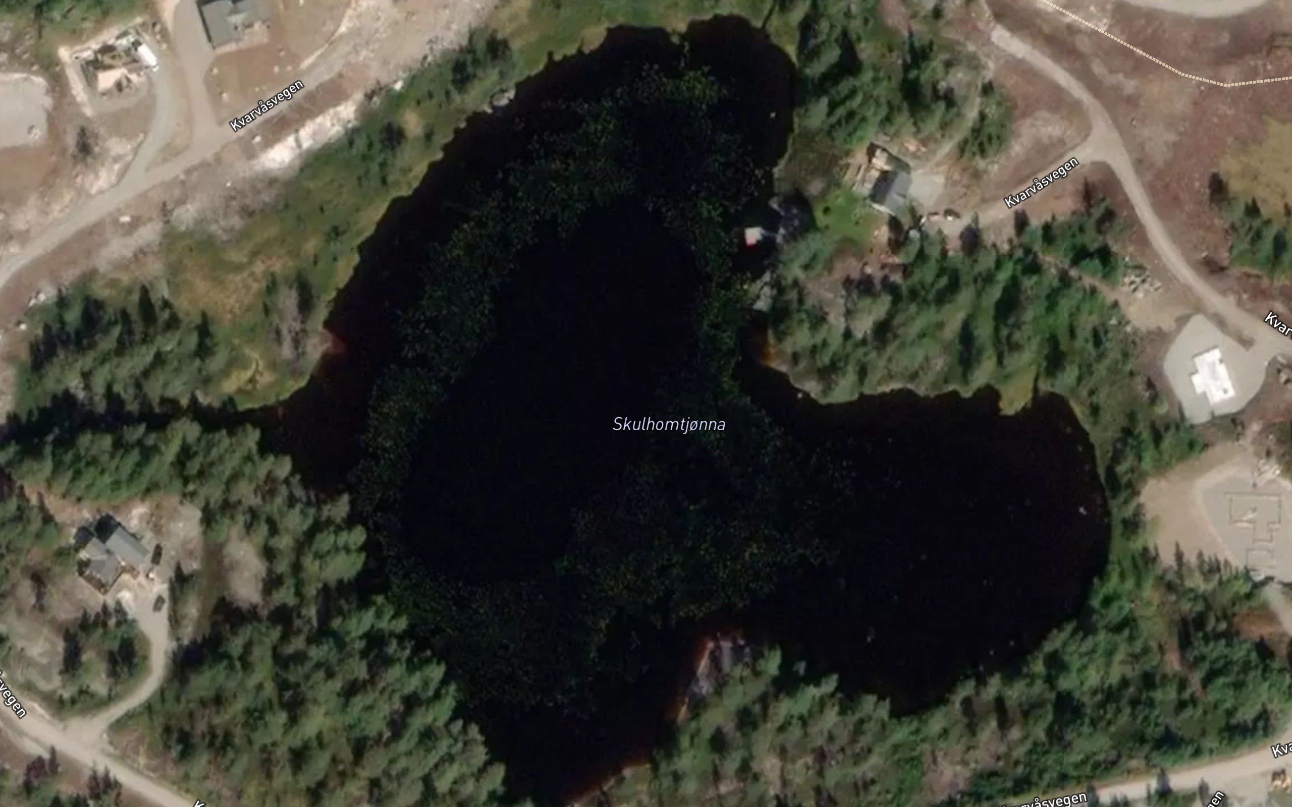 Skulhomtjonna