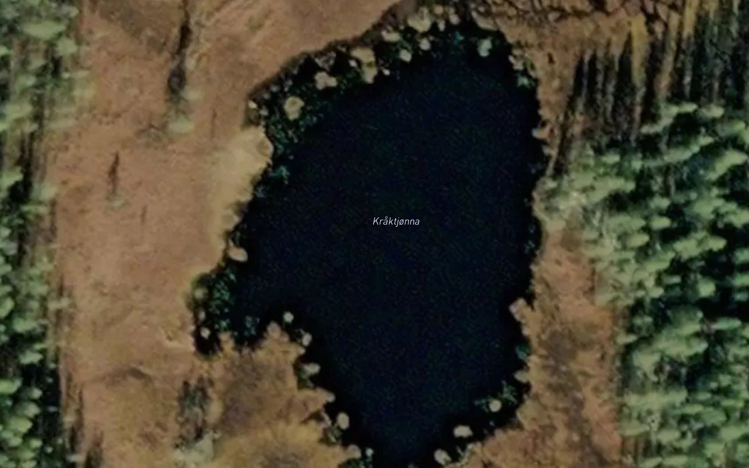 Kraktjorna