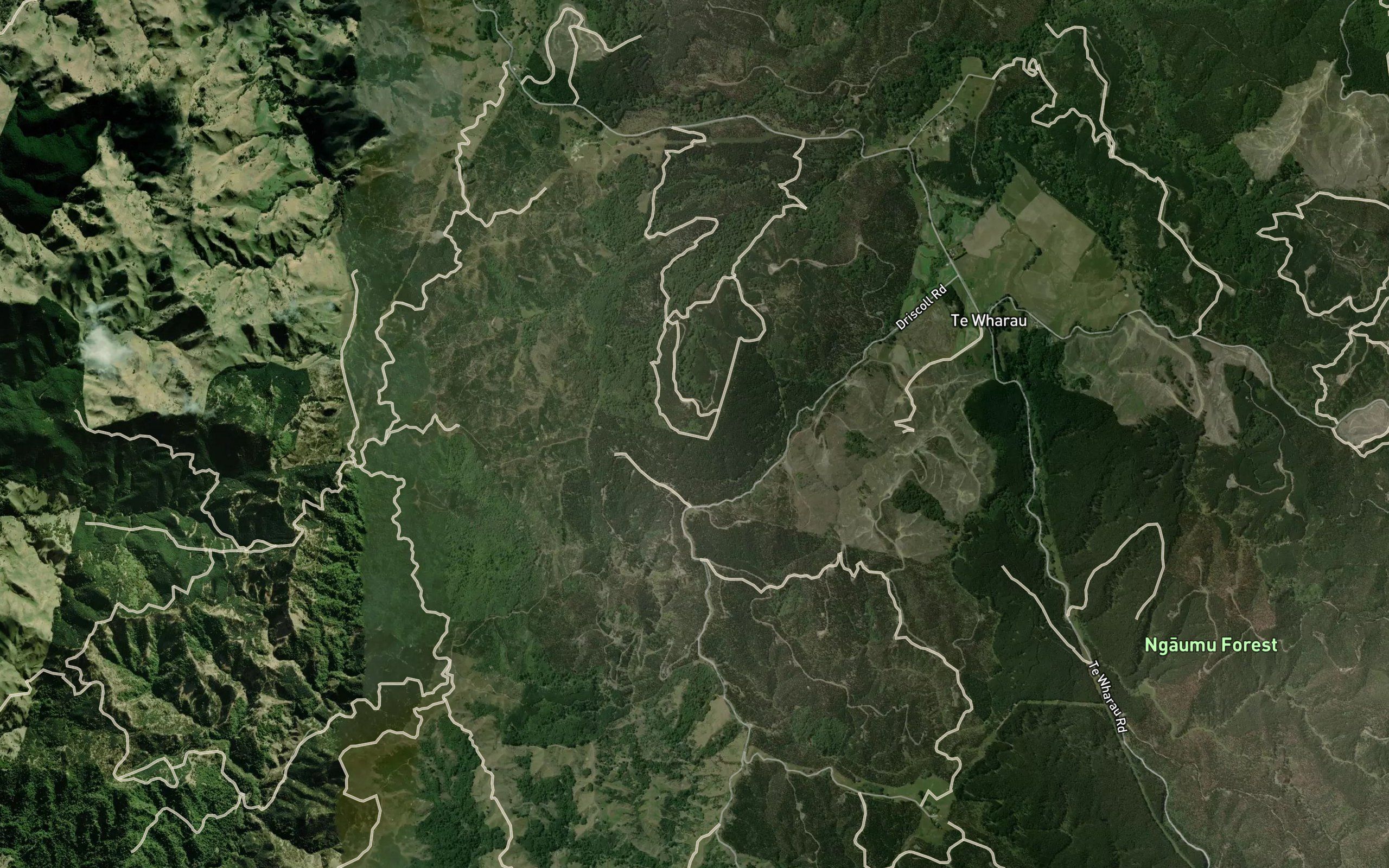 Wharau Stream