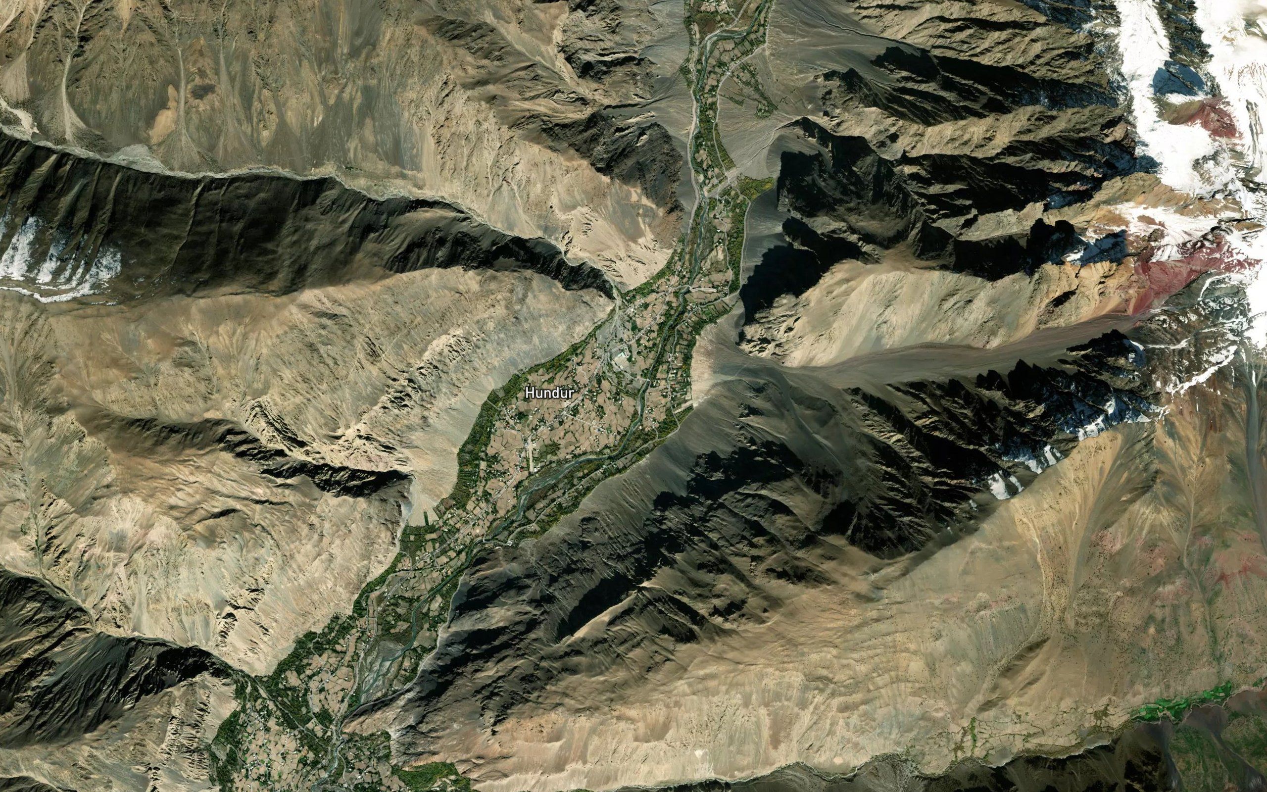 Hundur Bar