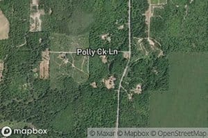 Polly Creek