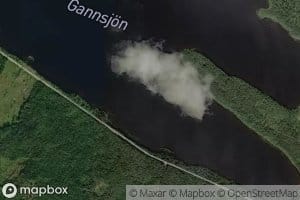 Gansjon