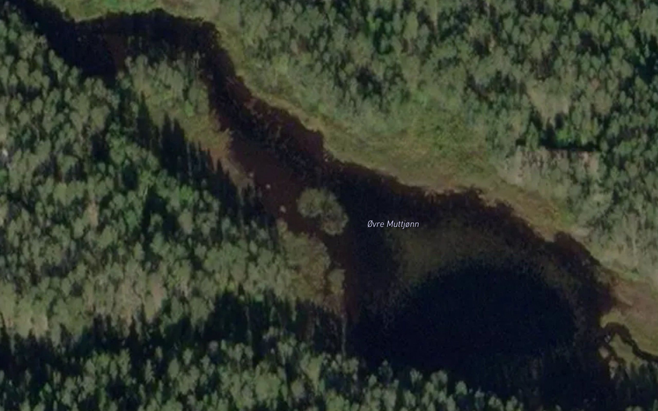 Muttjorn,ovre