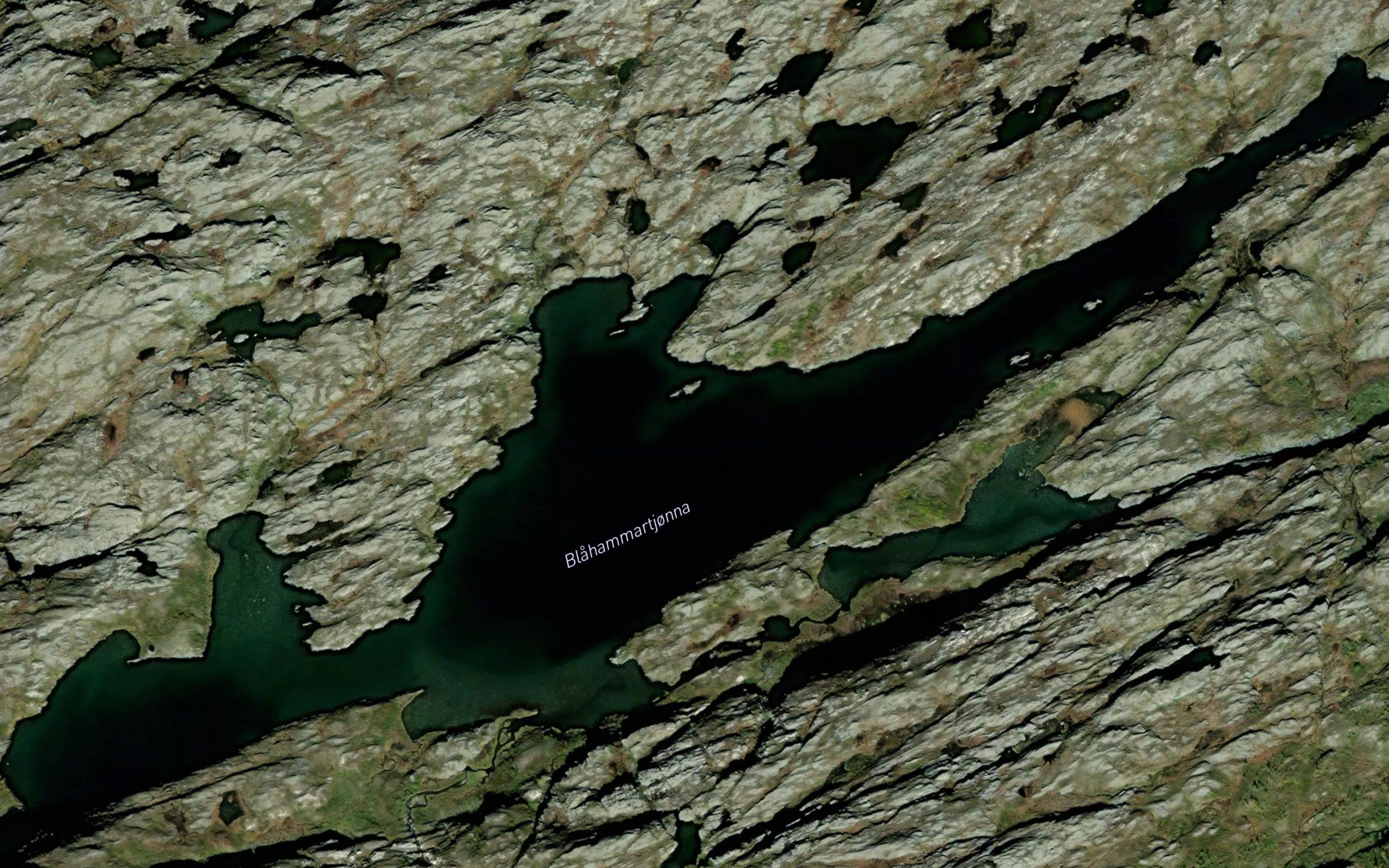 Blahammartjonna