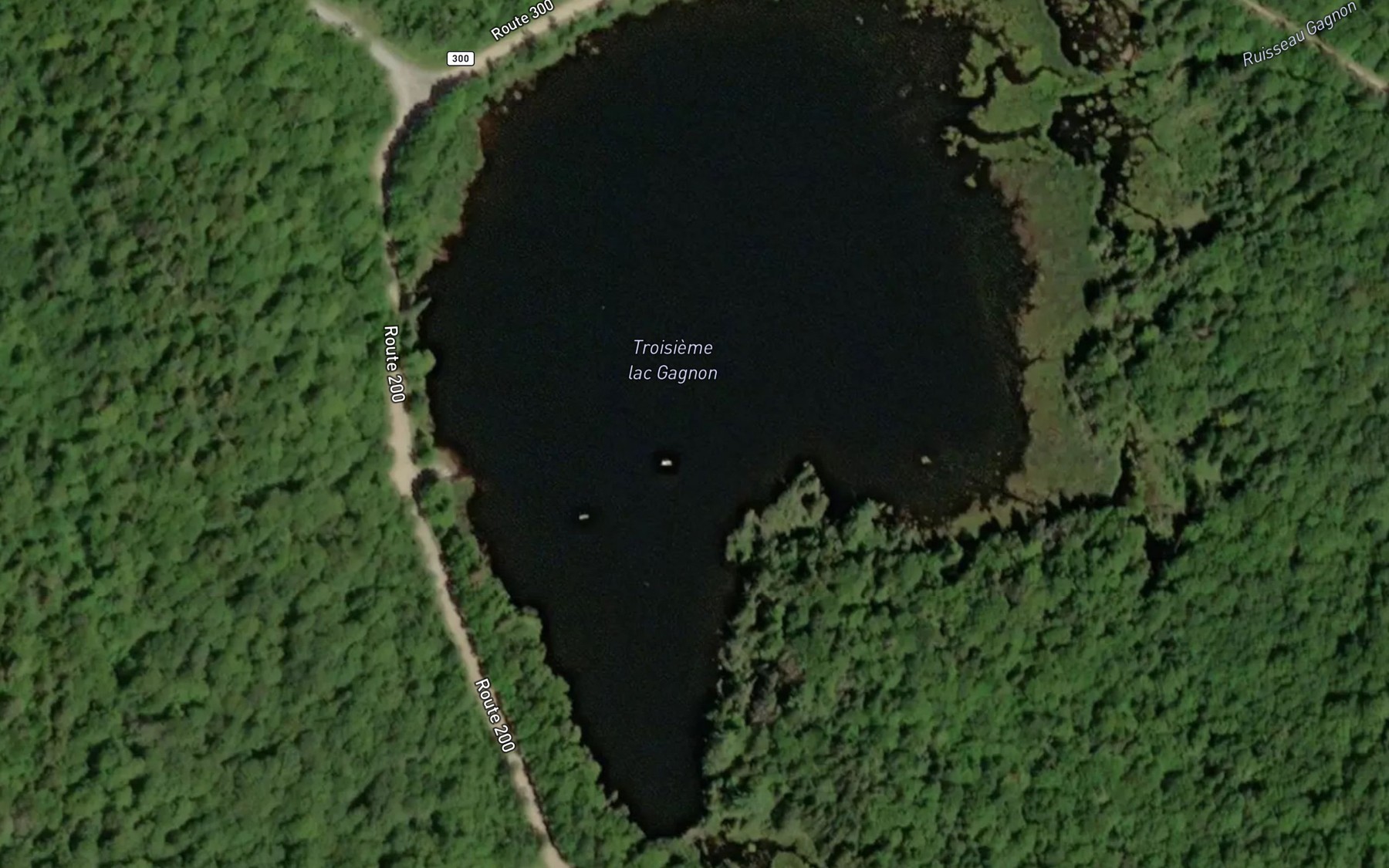 Satellite map of the Troisieme lac Gagnon