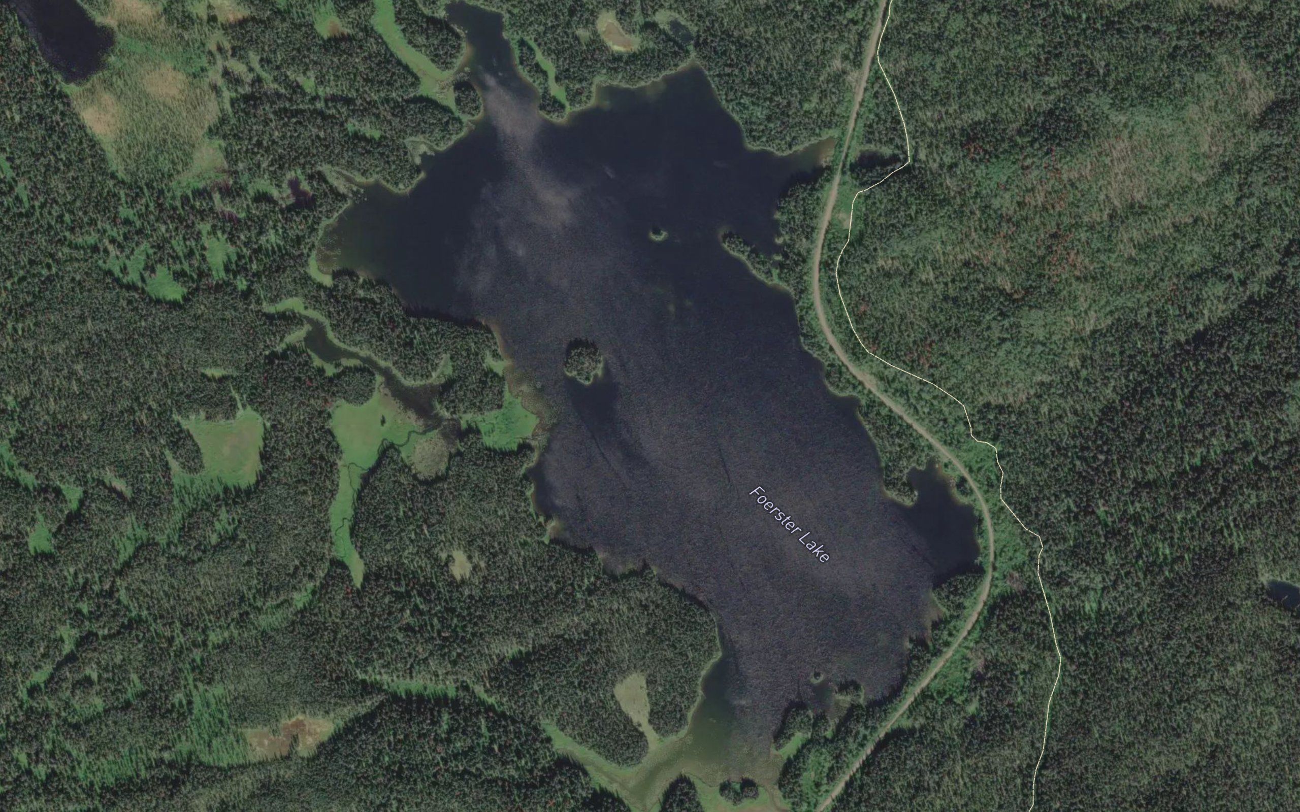 Foerster Lake