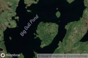 Big Gull Pond