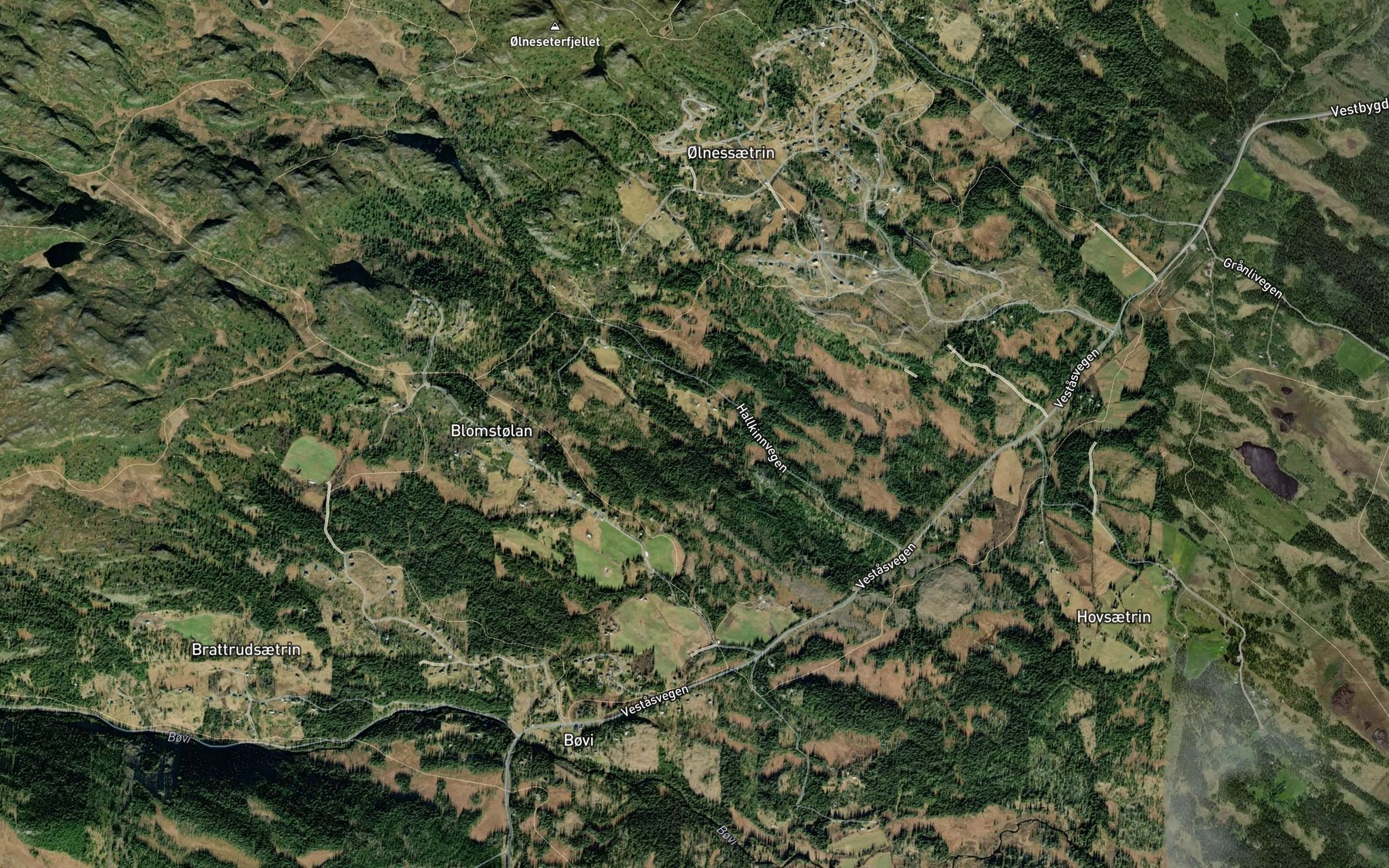 Satellite map of the Ognbekken