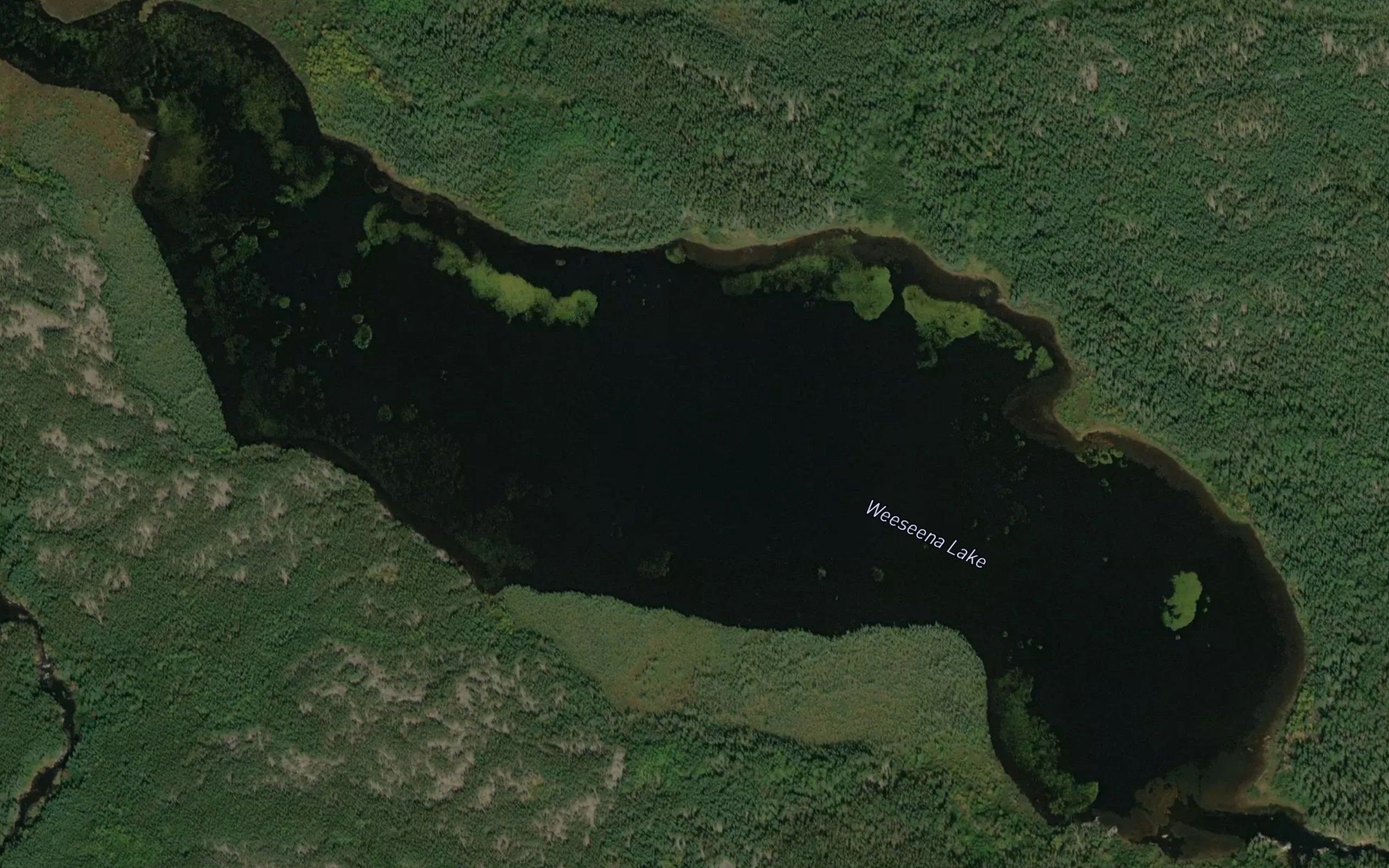 Weeseena Lake