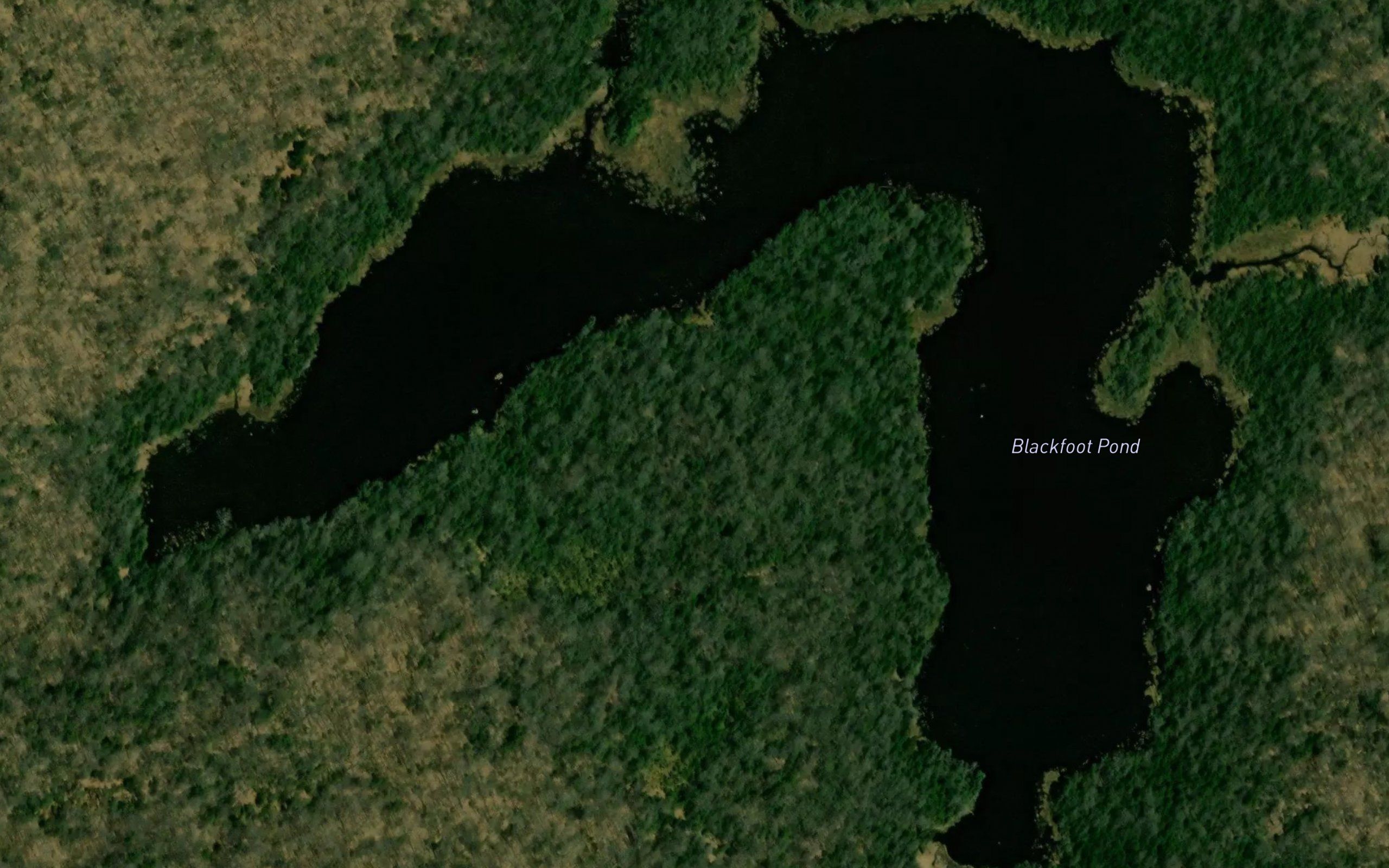 Blackfoot Pond