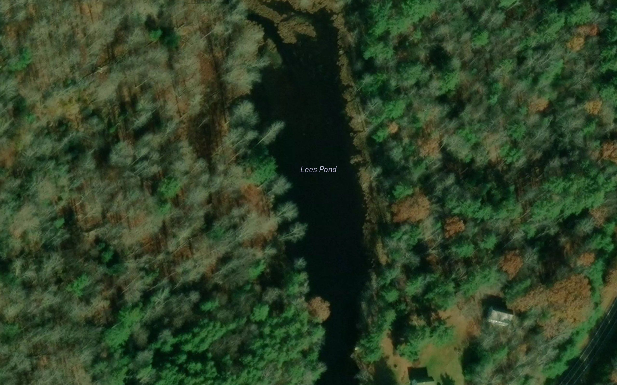 Lees Pond