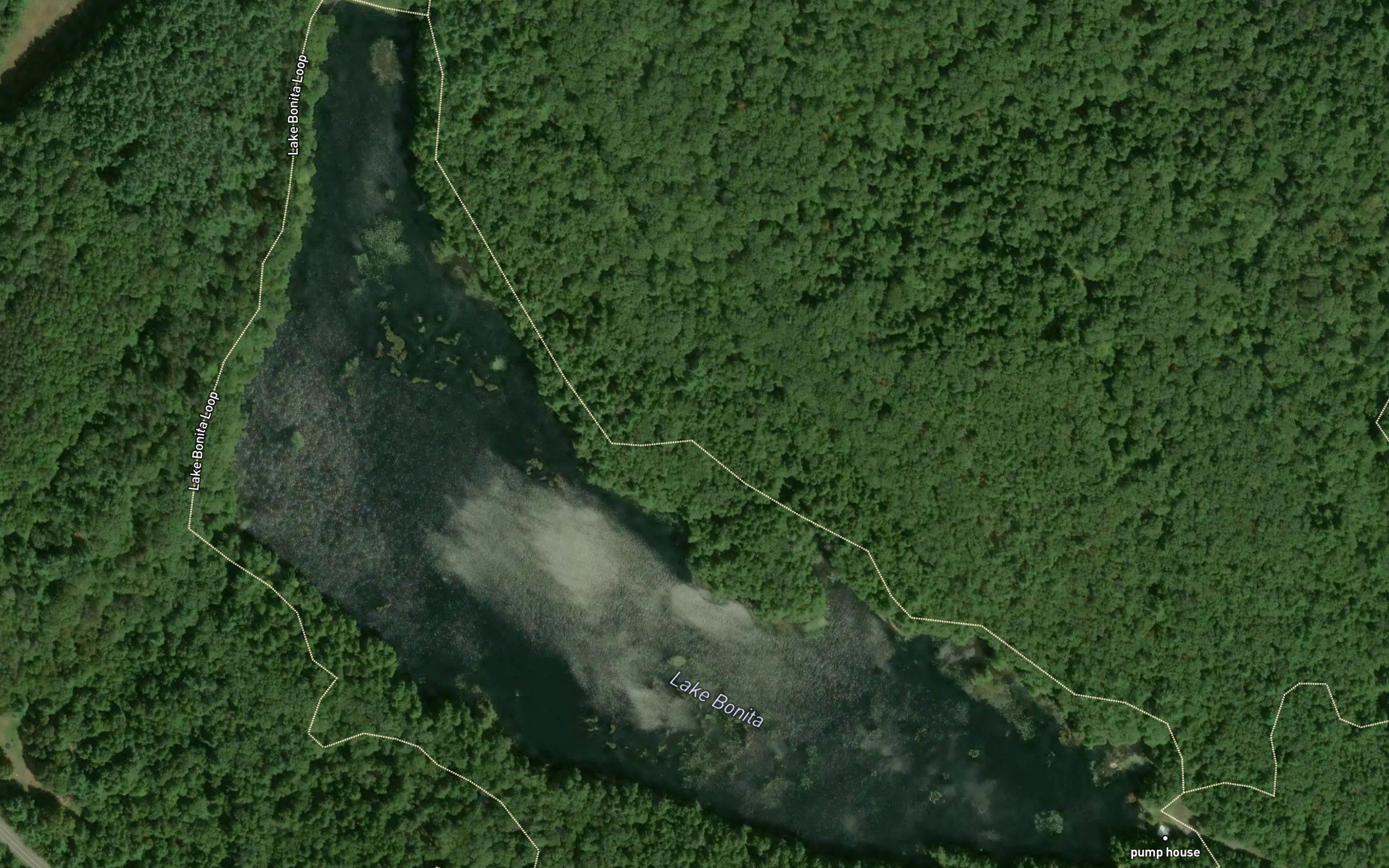 Lake Bonita