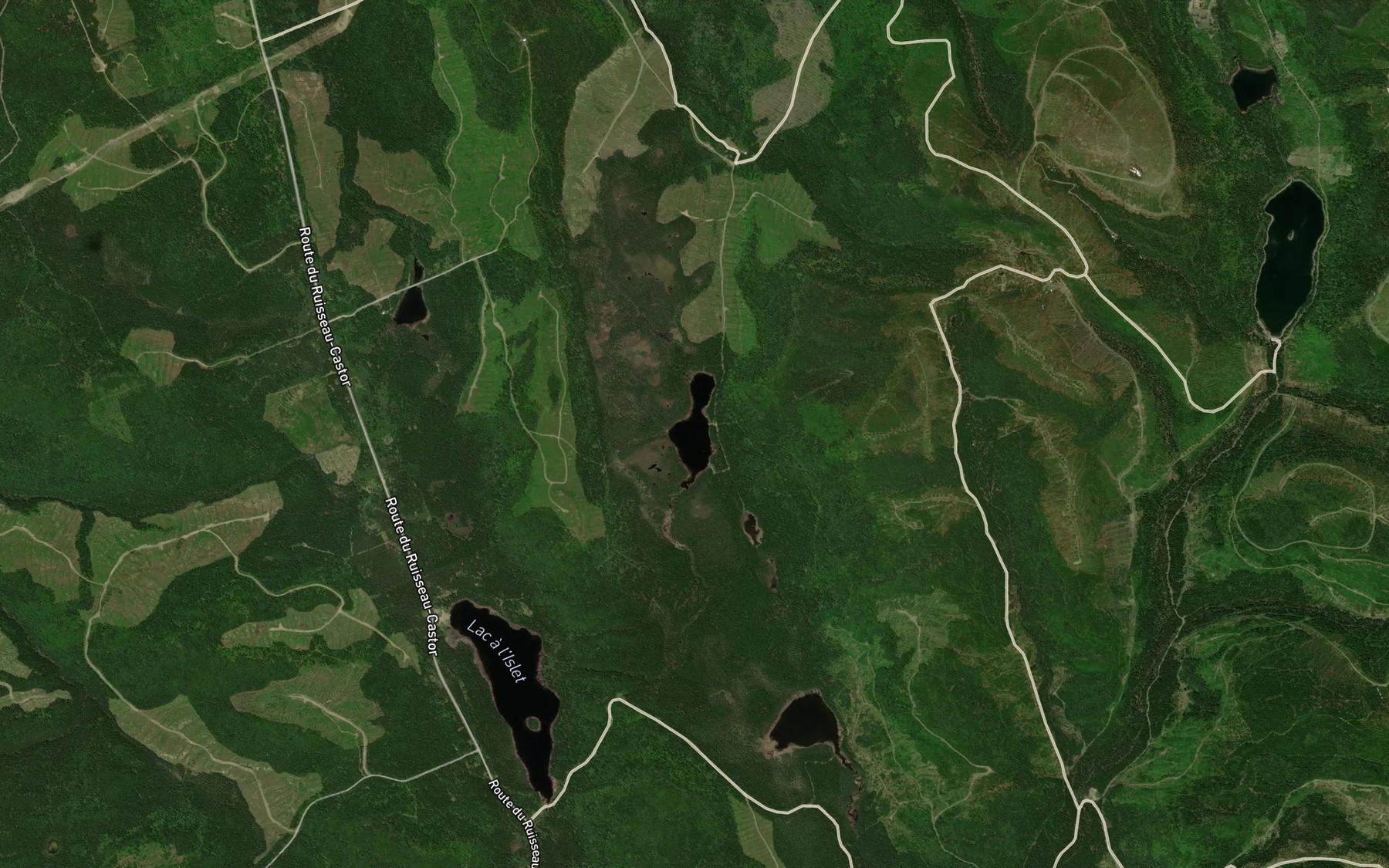 Satellite map of the Lac du Castor
