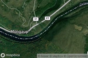 Mongaup River