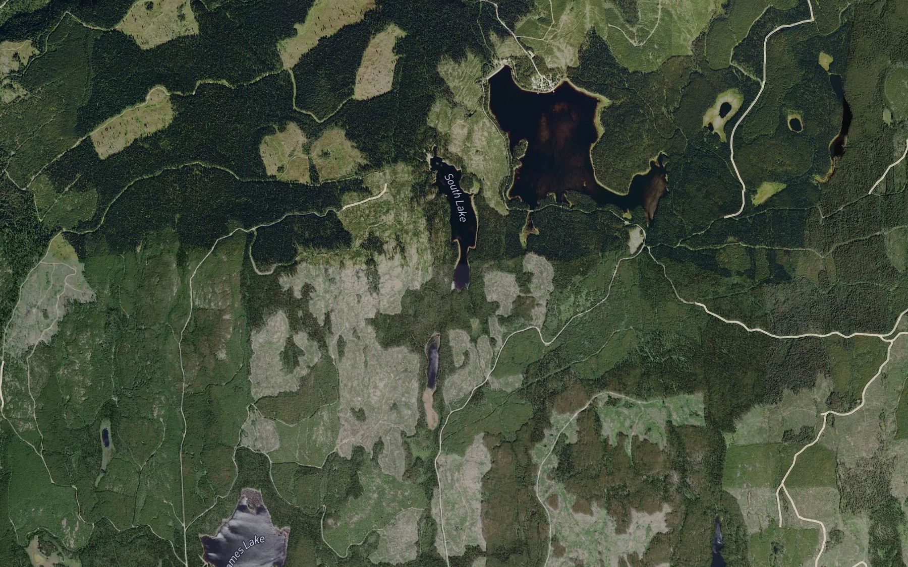 Satellite map of the South Lake