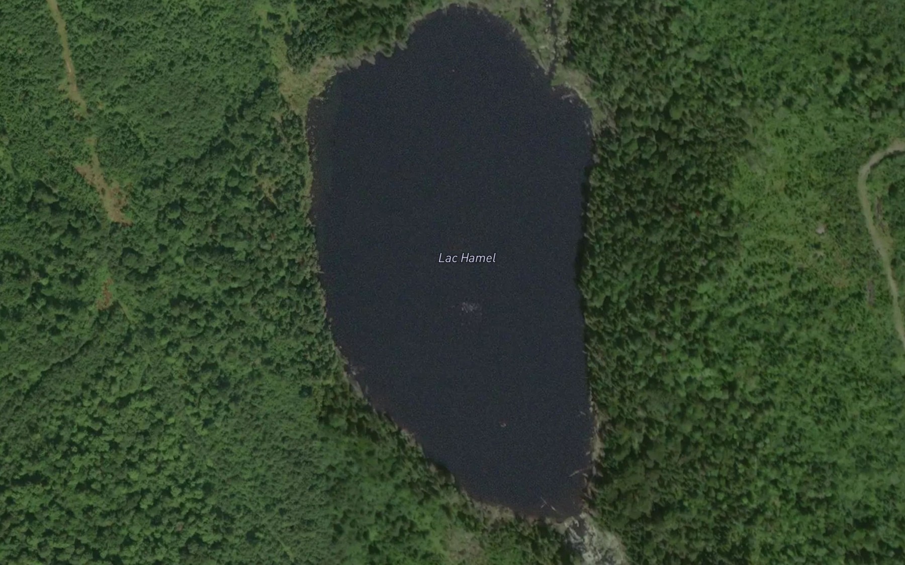 Satellite map of the Lac Hamel