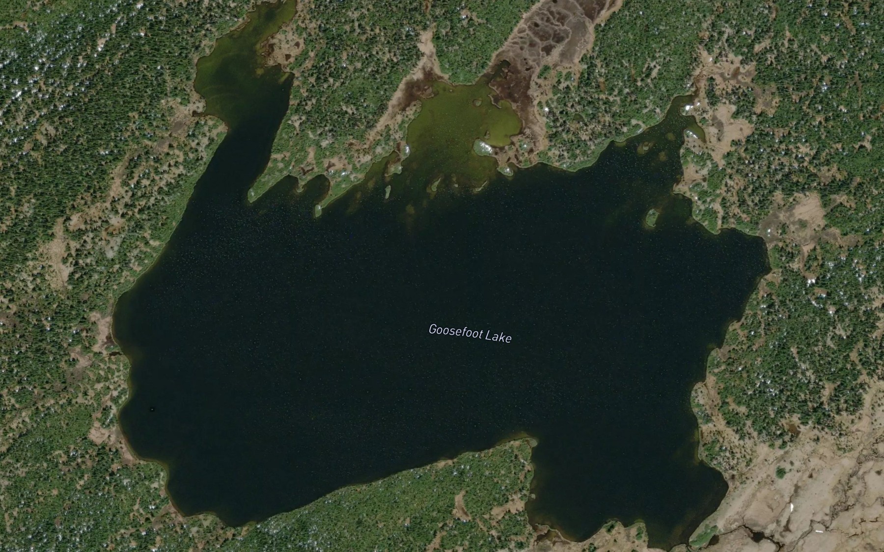 Satellite map of the Goosefoot Lake