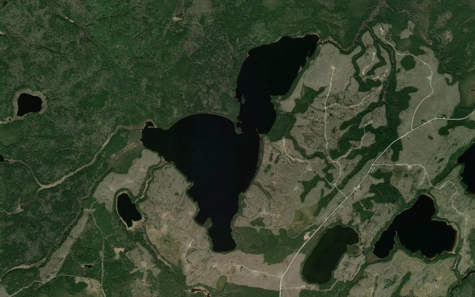 Satellite map of the Moose Lake