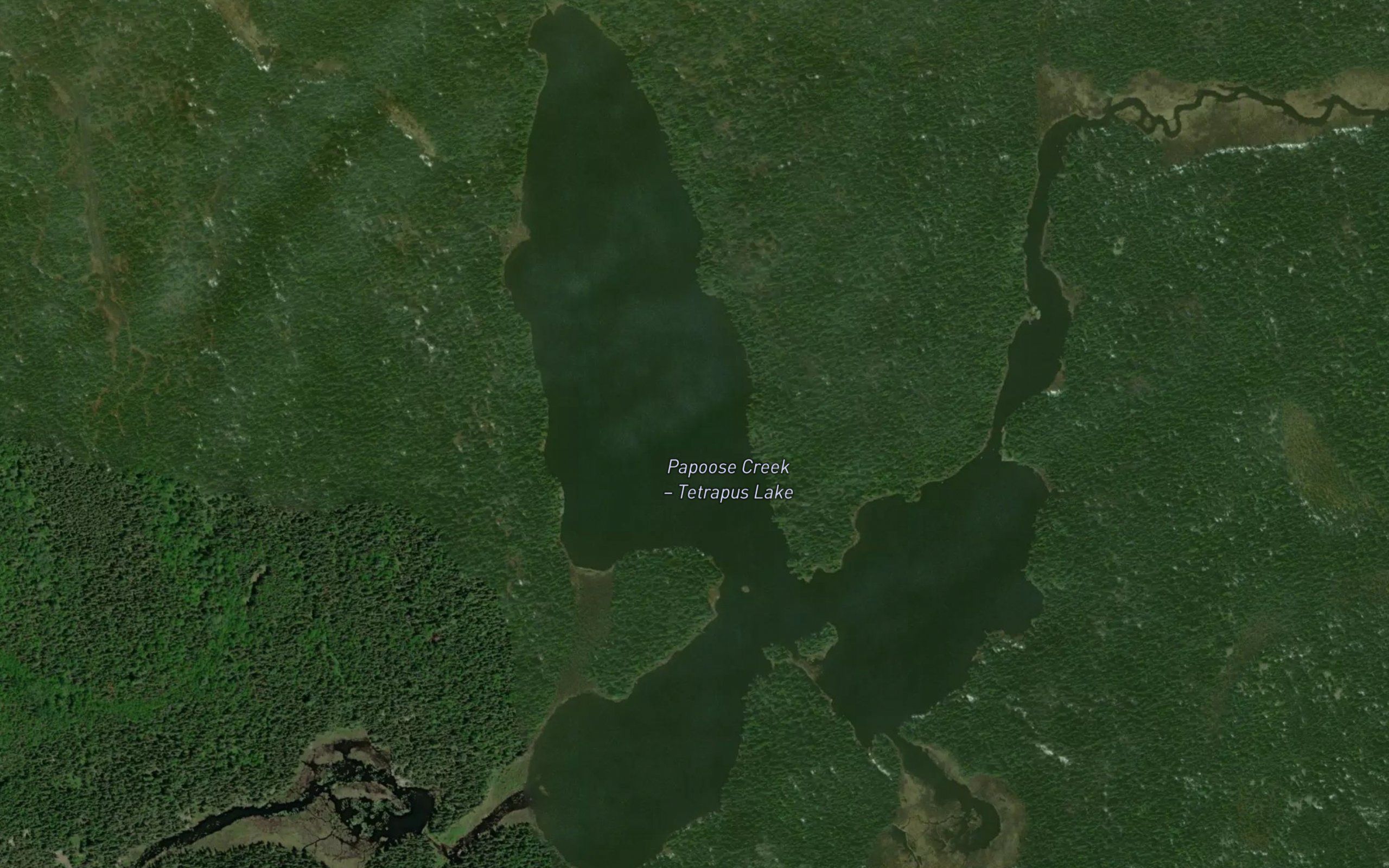 Tetrapus Lake