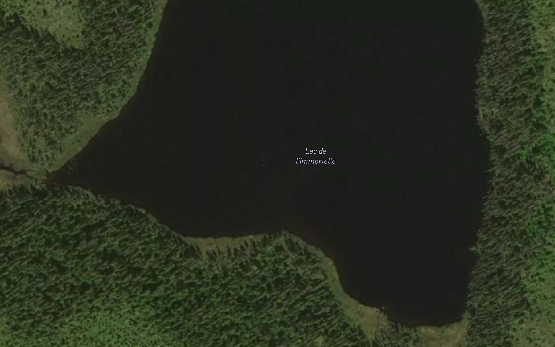 Satellite map of the Lac de l'Immortelle