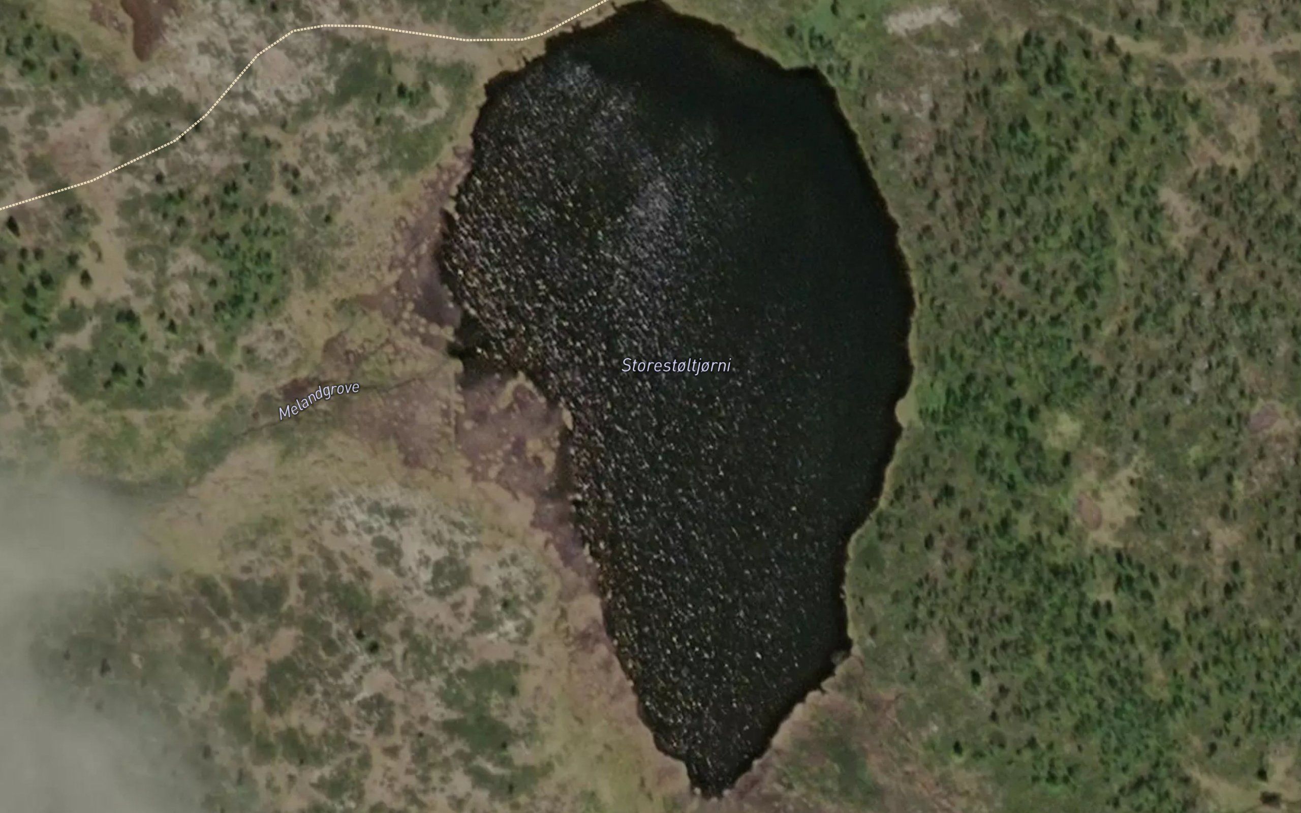 Storestoltjorni