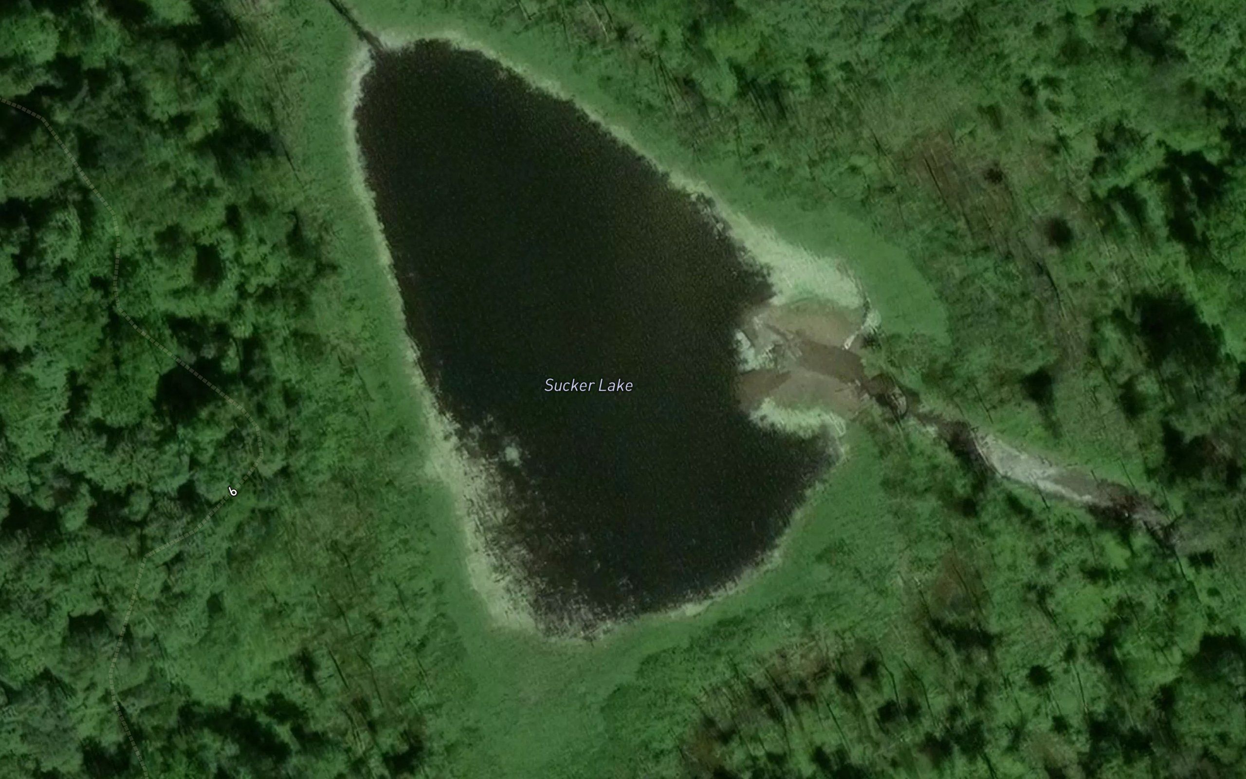 Sucker Lake