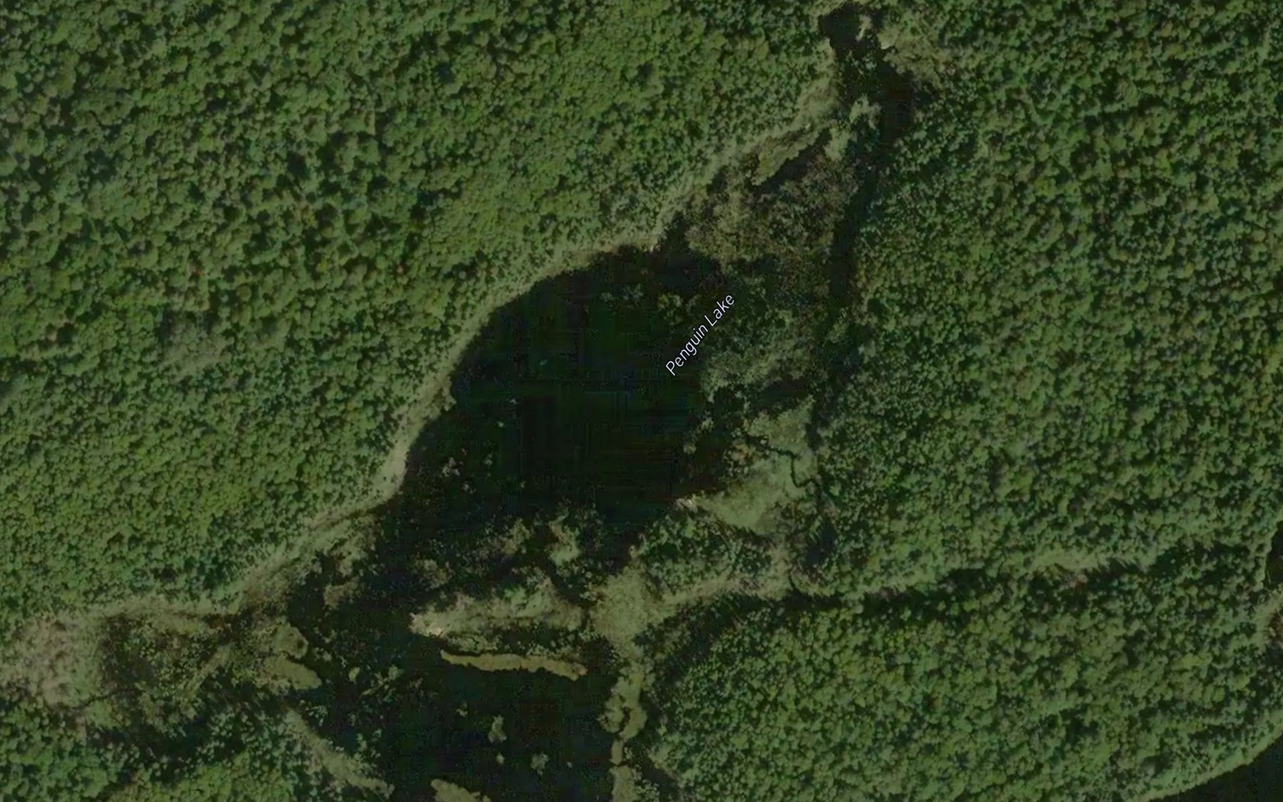 Satellite map of the Penguin Lake