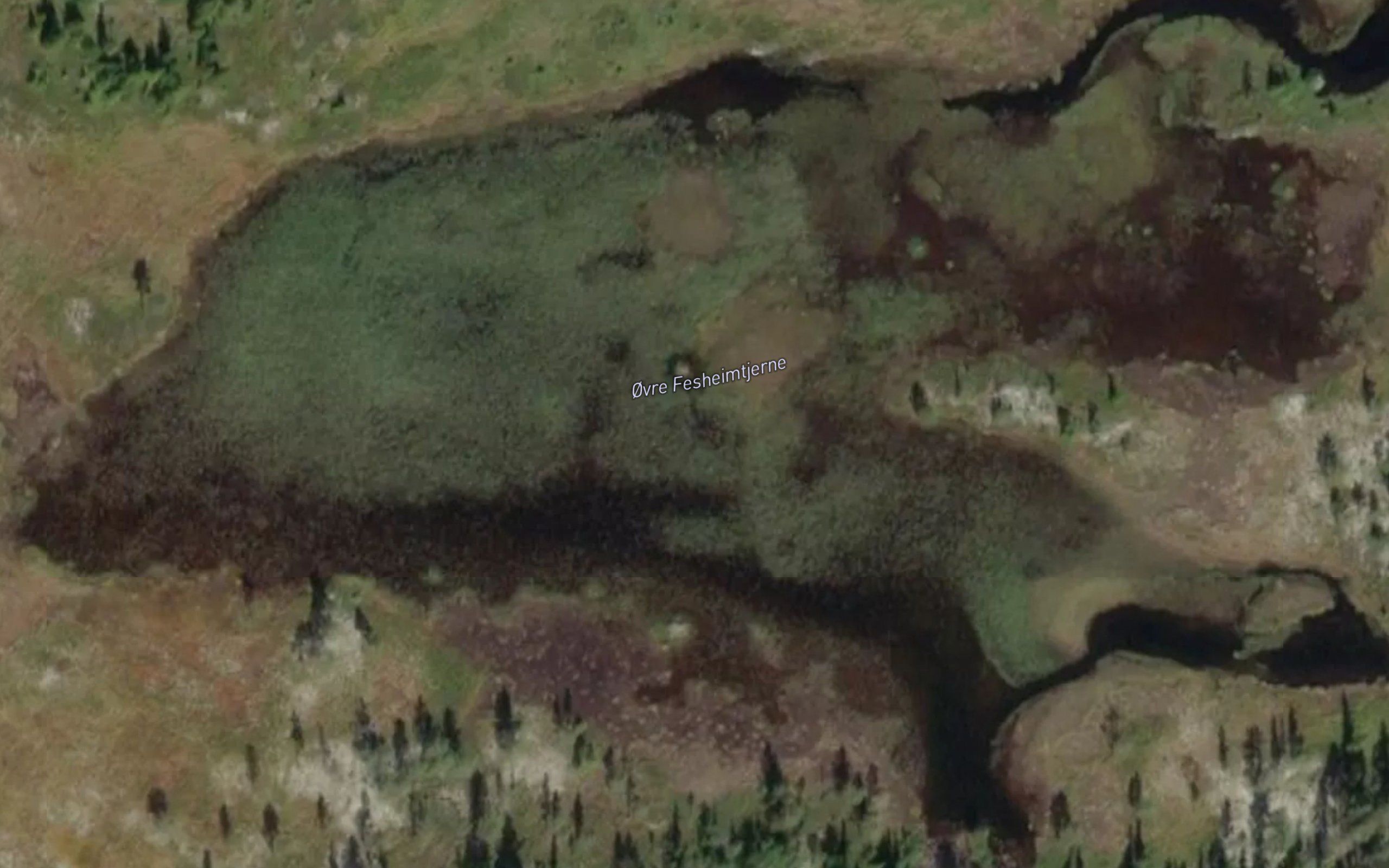 Ovre Fesheimtjernet